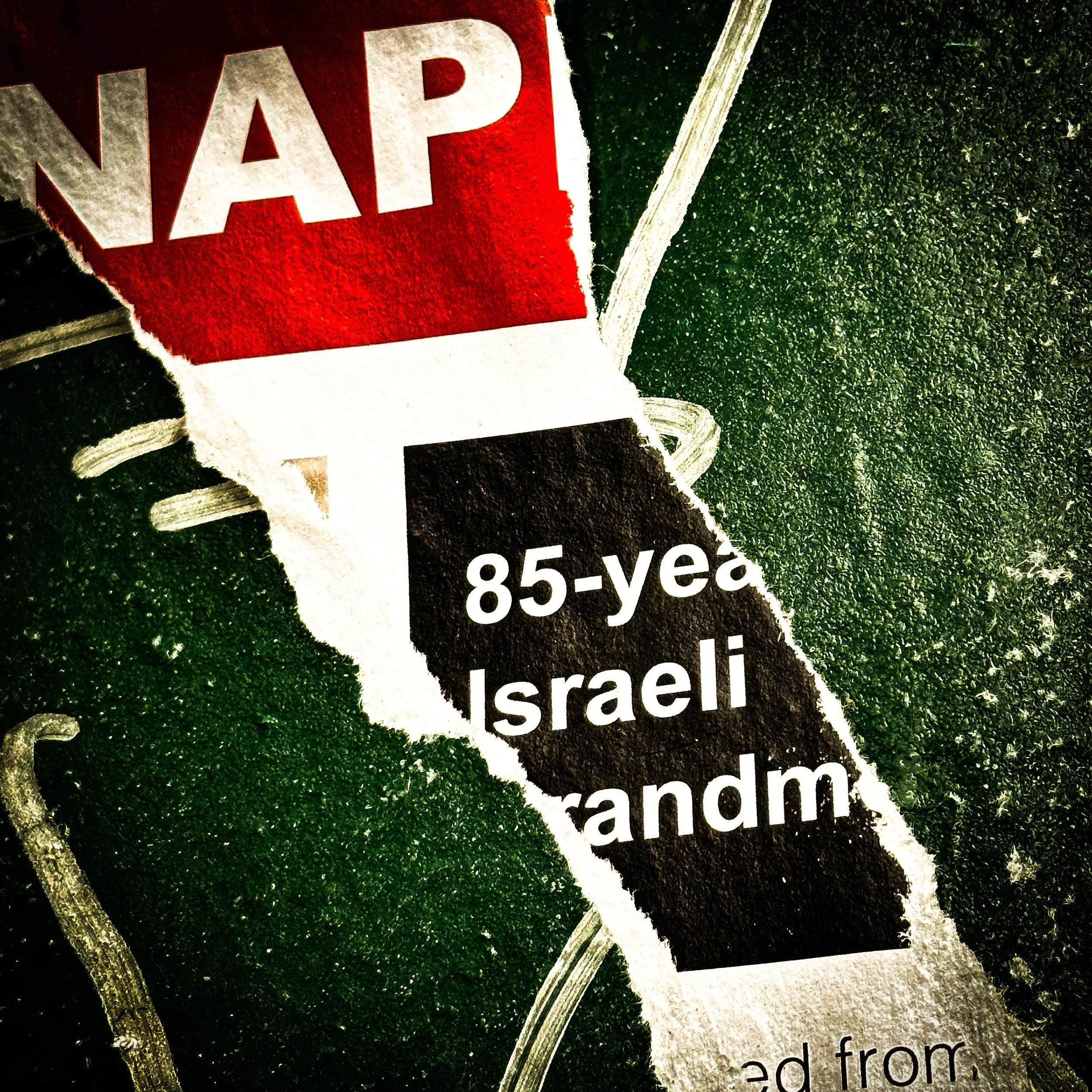 IMG_8910-topaz-upscale-1.7x-2 copy.jpg