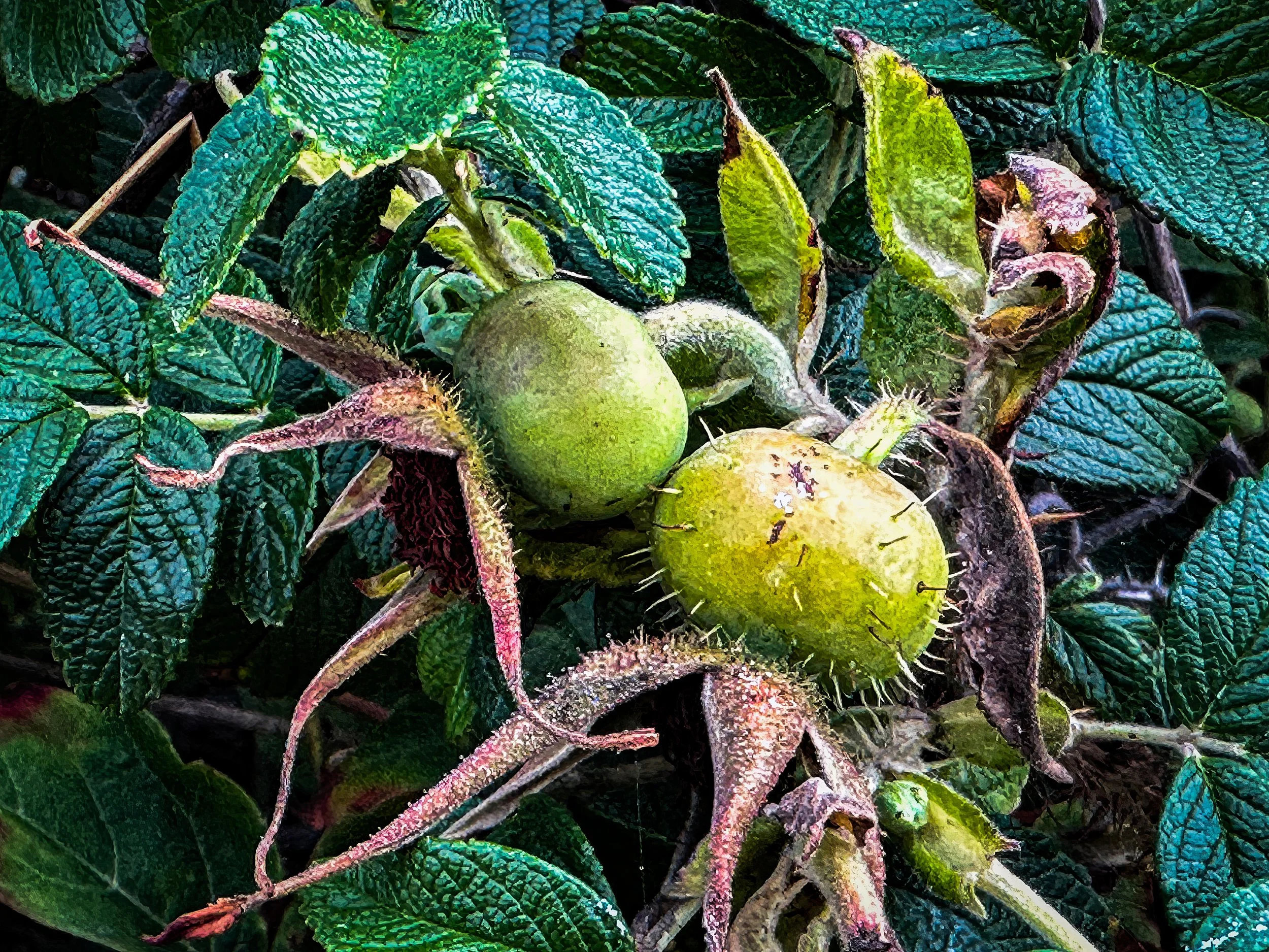 IMG_3837-2 copy-topaz-enhance-2x copy.jpg