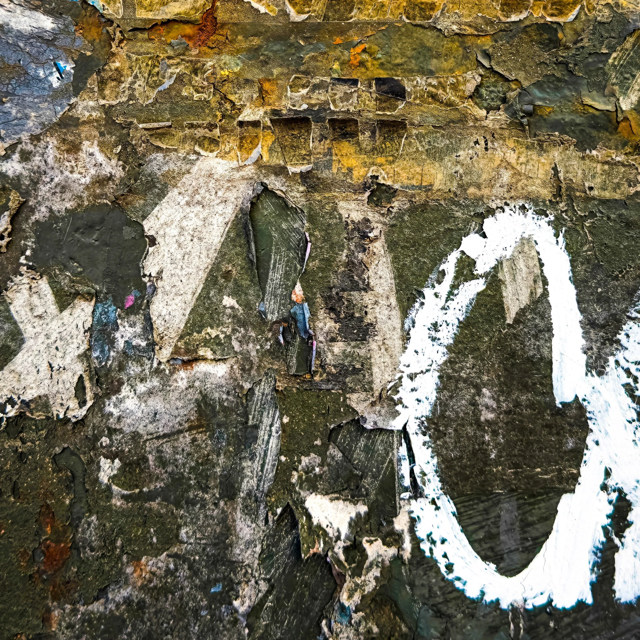 IMG_0124-2-2 copy-topaz-upscale-2x-2 copy.jpg