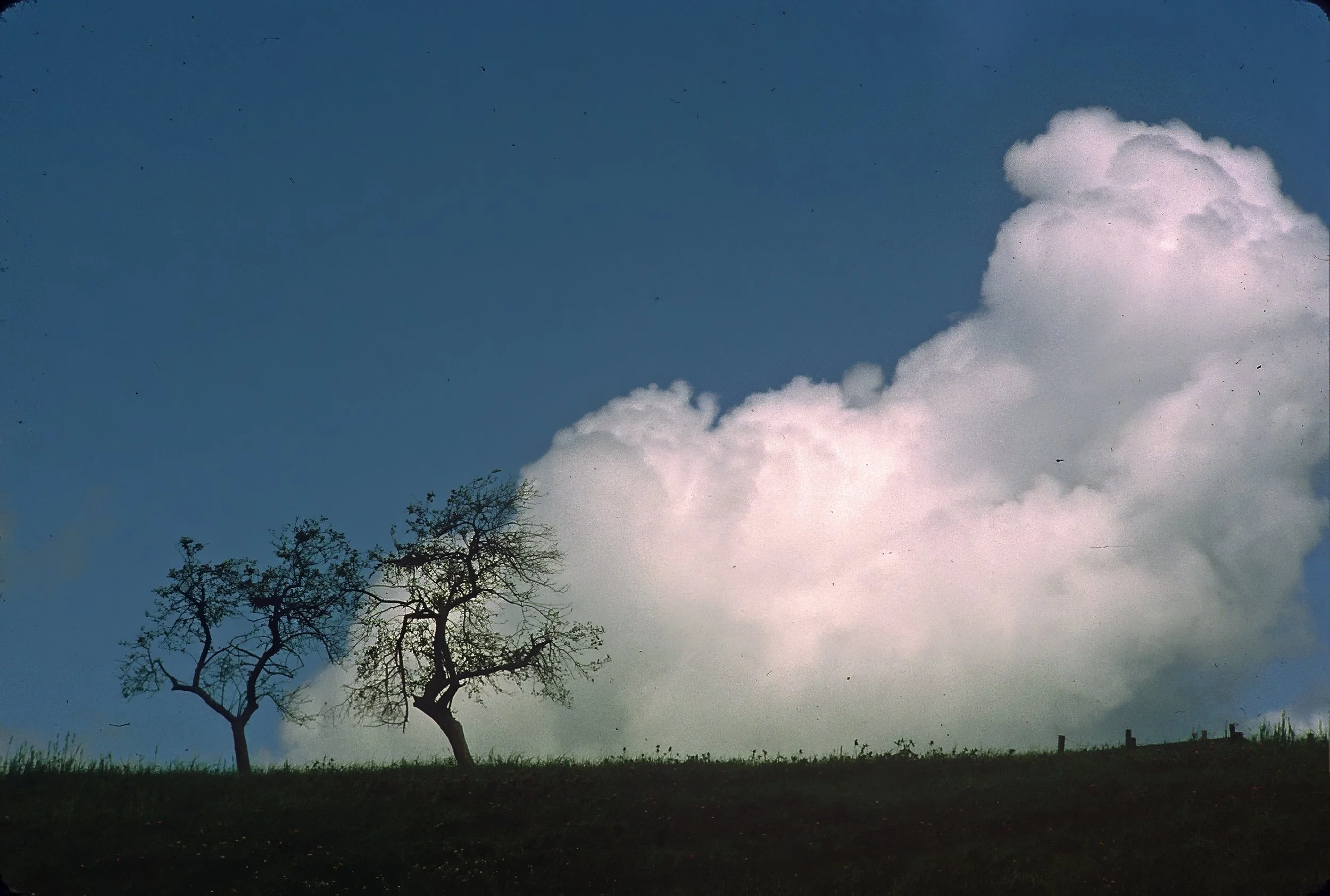 dia_0012-2 copy-topaz-denoise.jpg