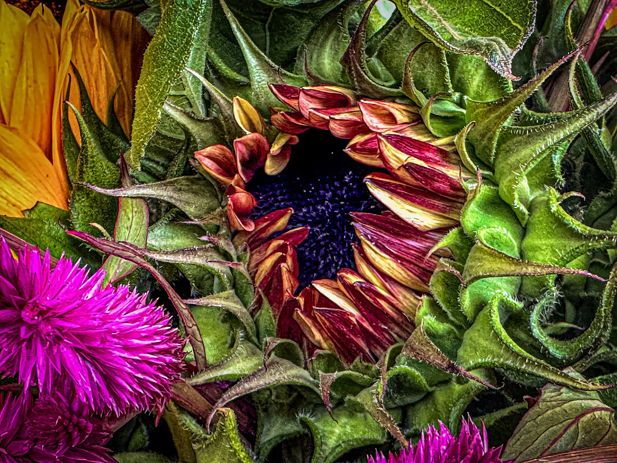 IMG_4010-2-2 copy 2-2-topaz-enhance-2x copy.jpg