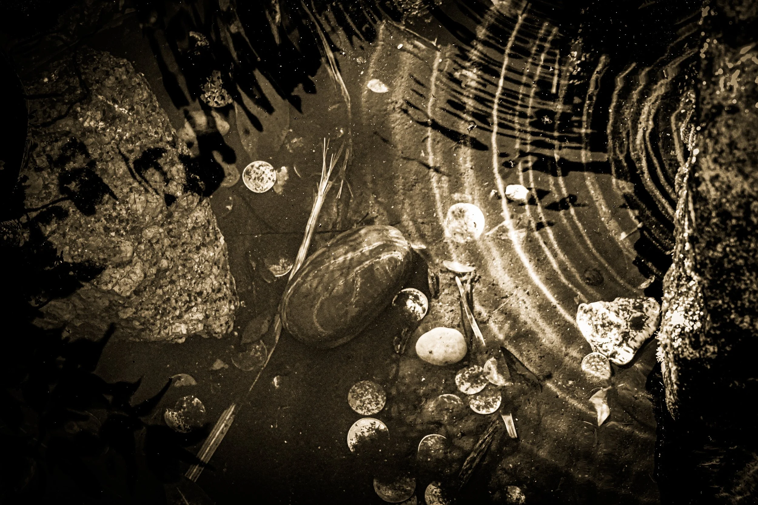 _DSC3568-3-2 copy.jpg