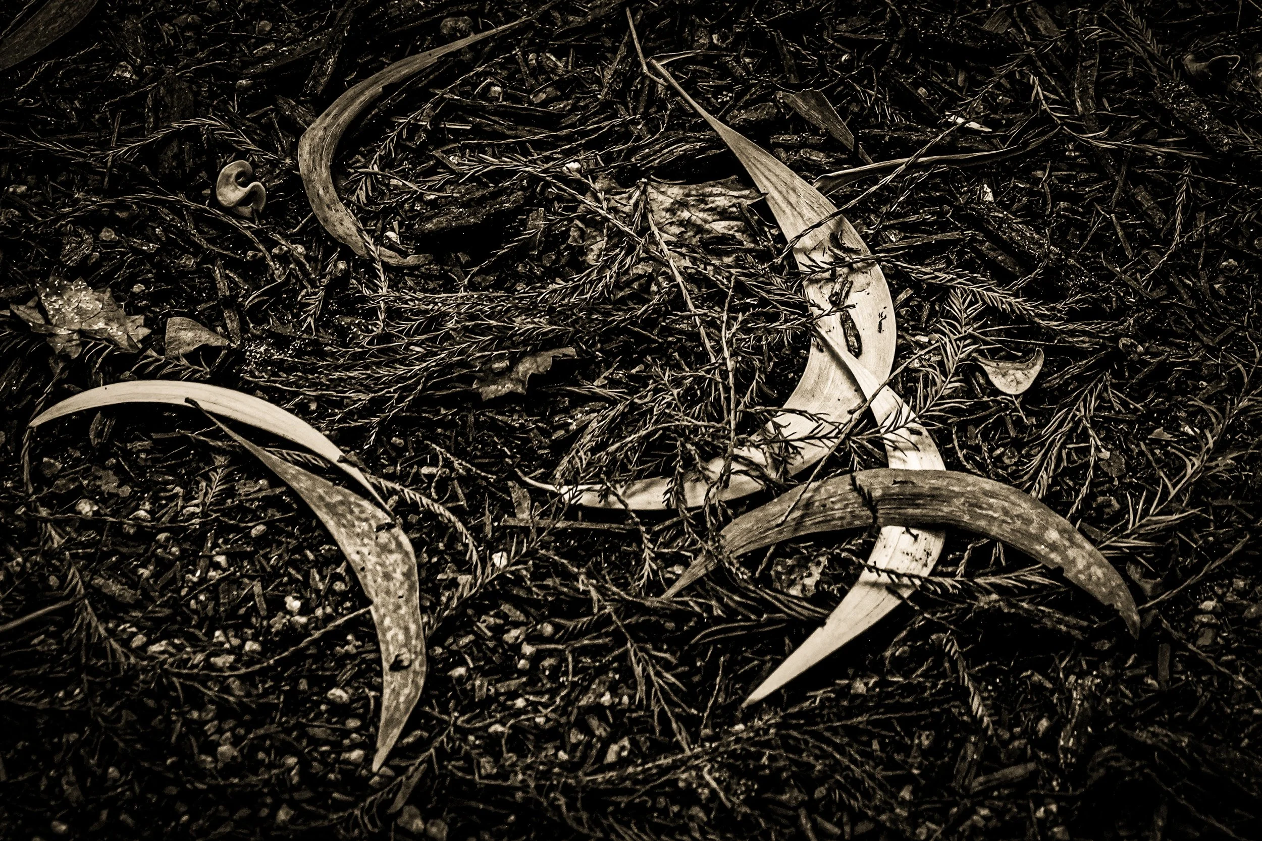 _DSC3550-3-2 copy.jpg