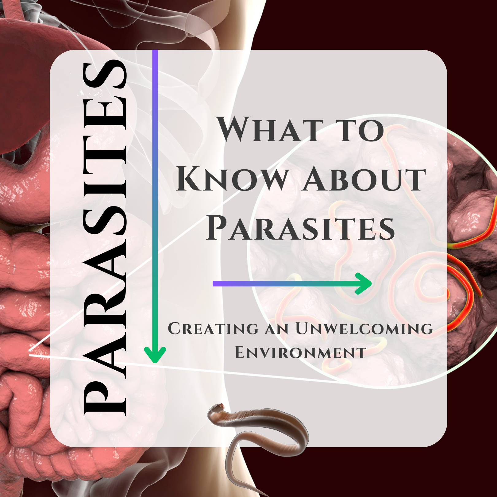 Parasites: What They Are, How to Spot Them. 