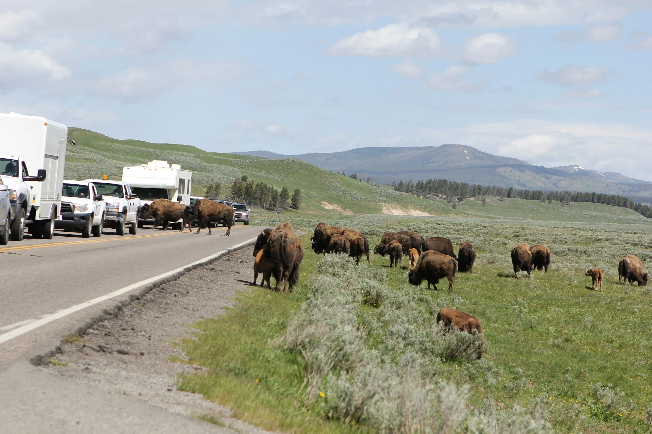 Woodland Agriculture Meets CARB Compliance: NorCal CARB Mobile Keeps Farms Running