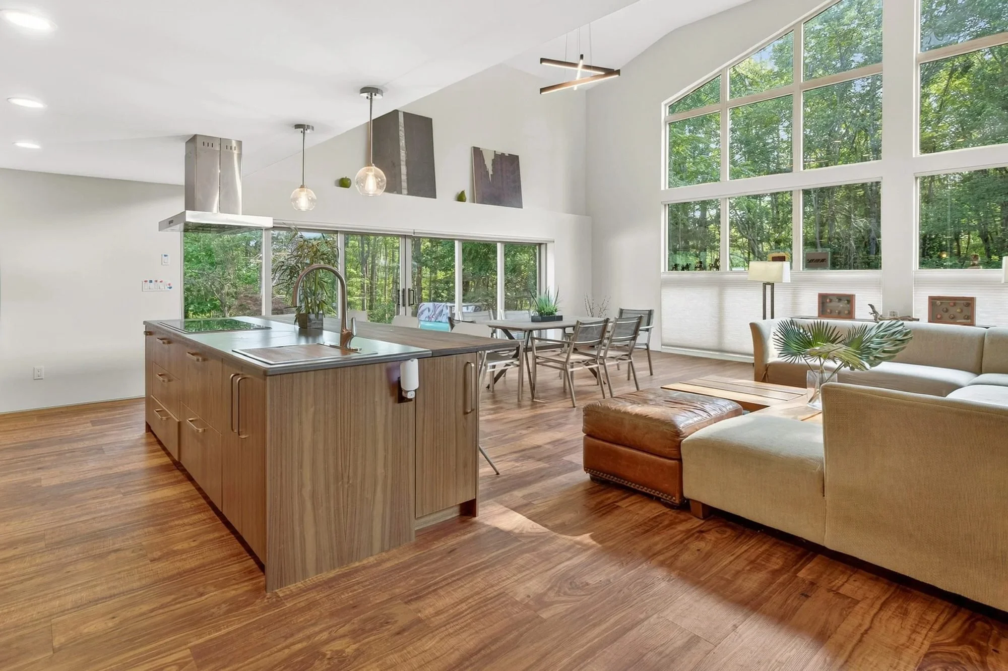 Minnewaska modern duplex open kitchen living room