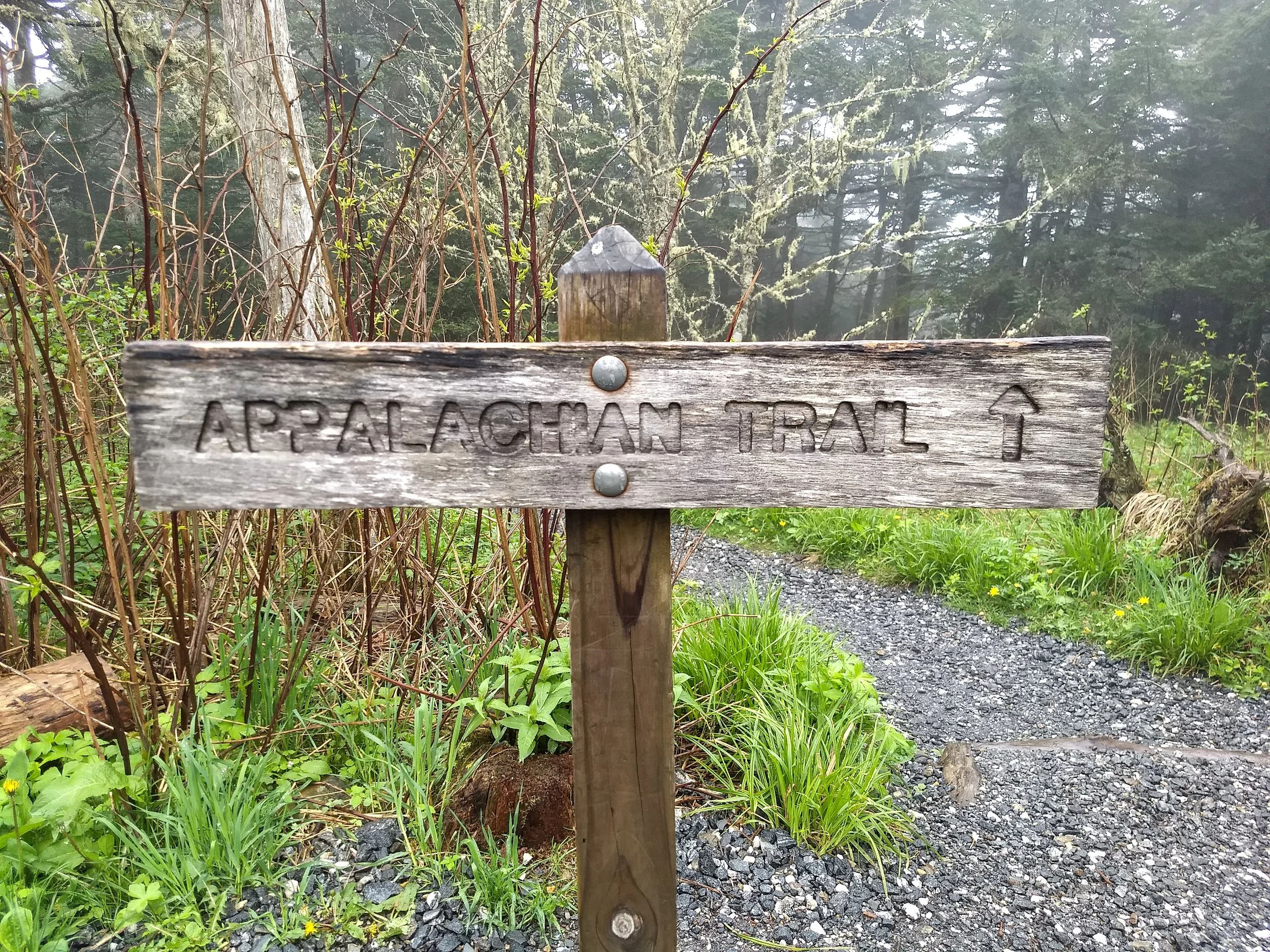 Three Years on the AT