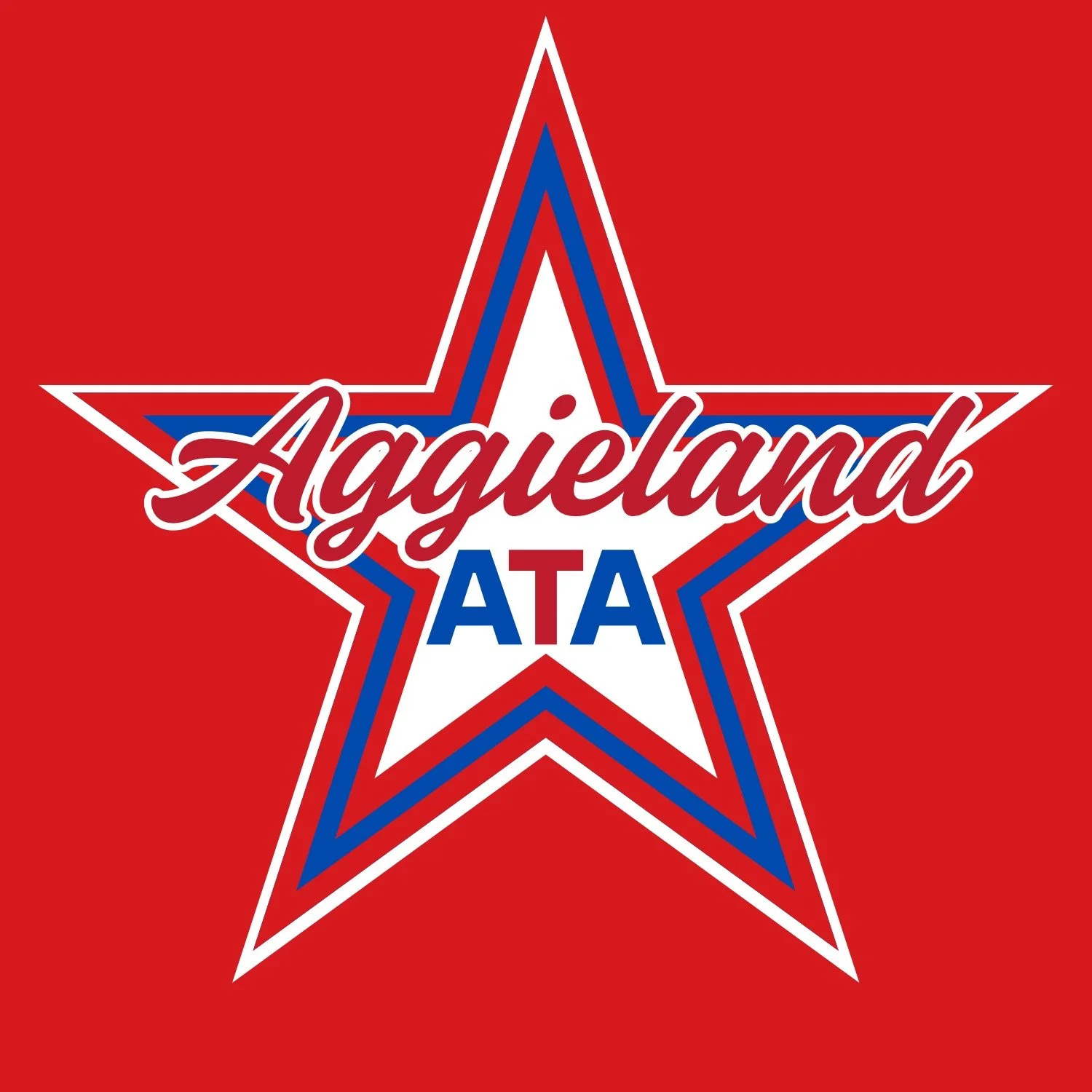 Aggieland ATA Martial Arts Academy 