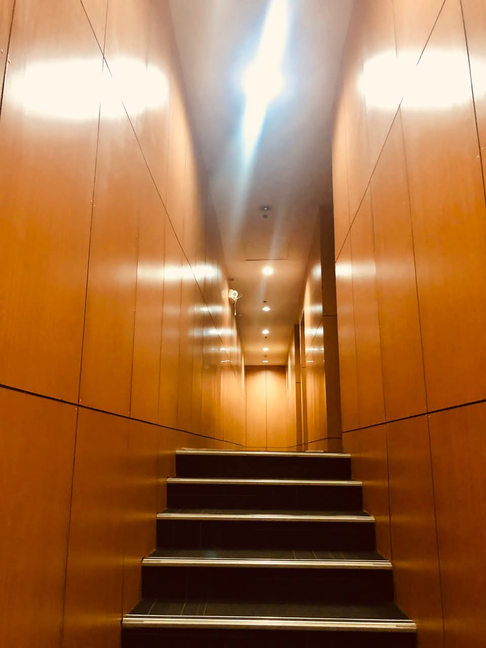 A3DBF755-6B30-4A8F-AB5C-6888ACA53CC3.png