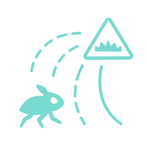 creature_anticipation.png