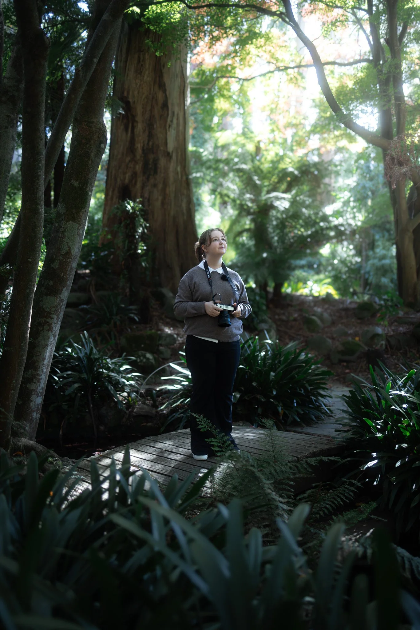 A woman standing on a wooden path in a lush green forest, holding a camera and looking up at the trees.