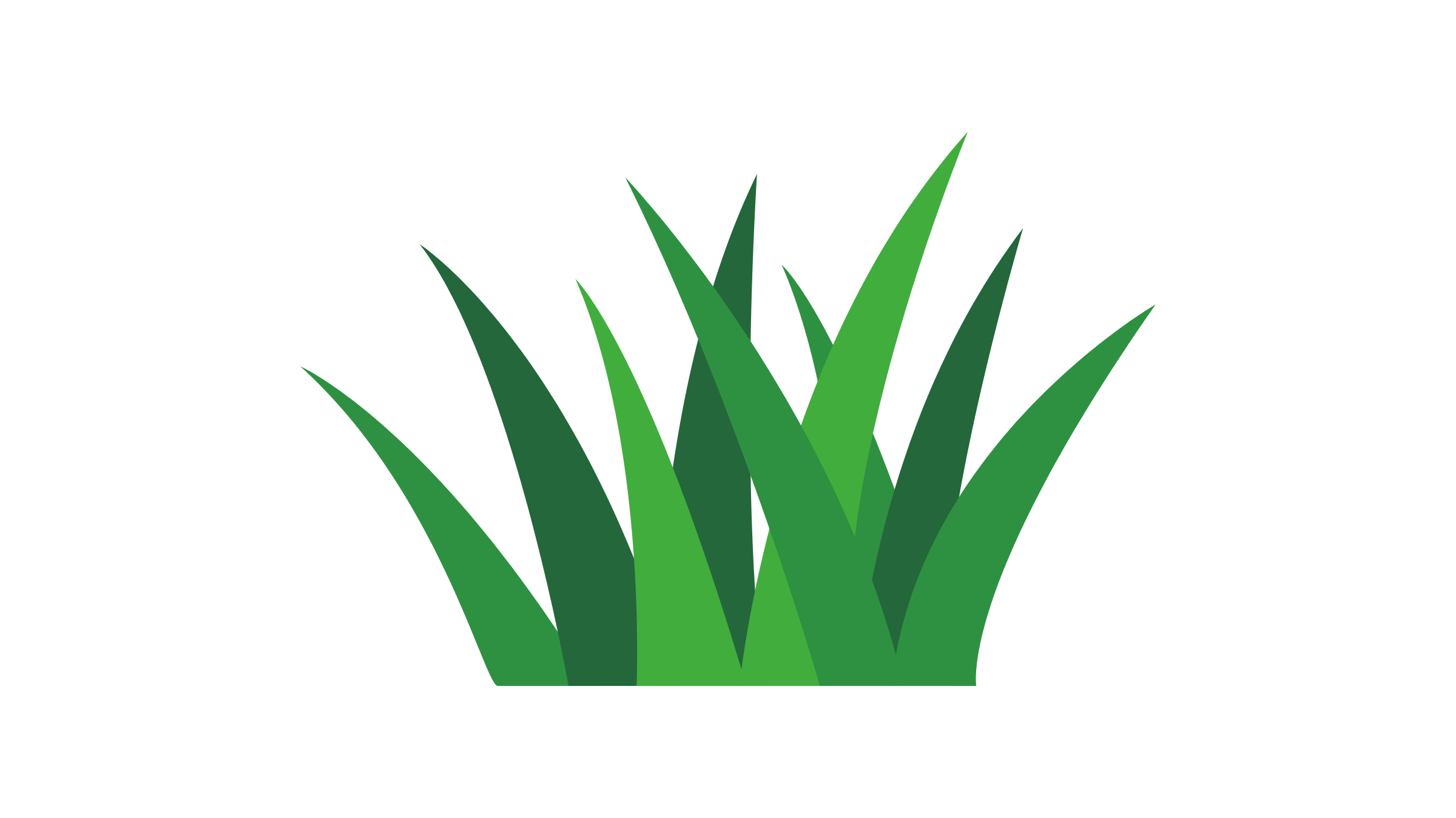 Illustration of green grass blades on a black background.