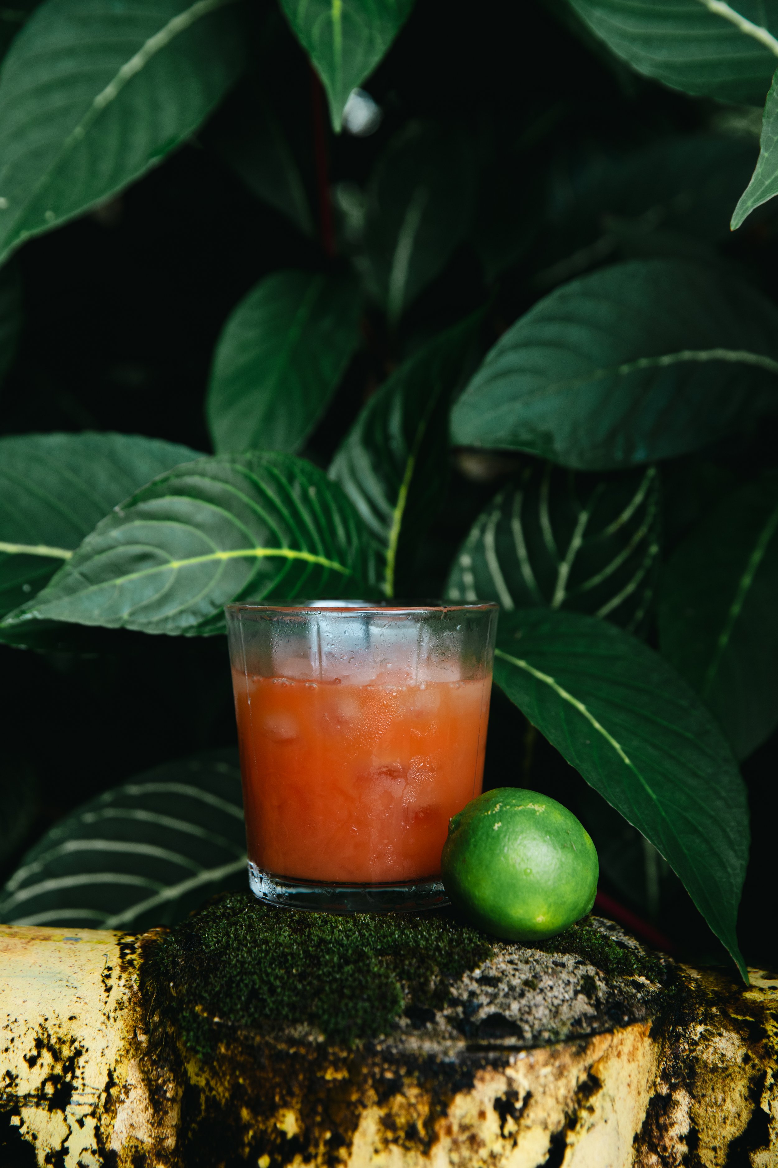 Summer Season: Drink Highlight