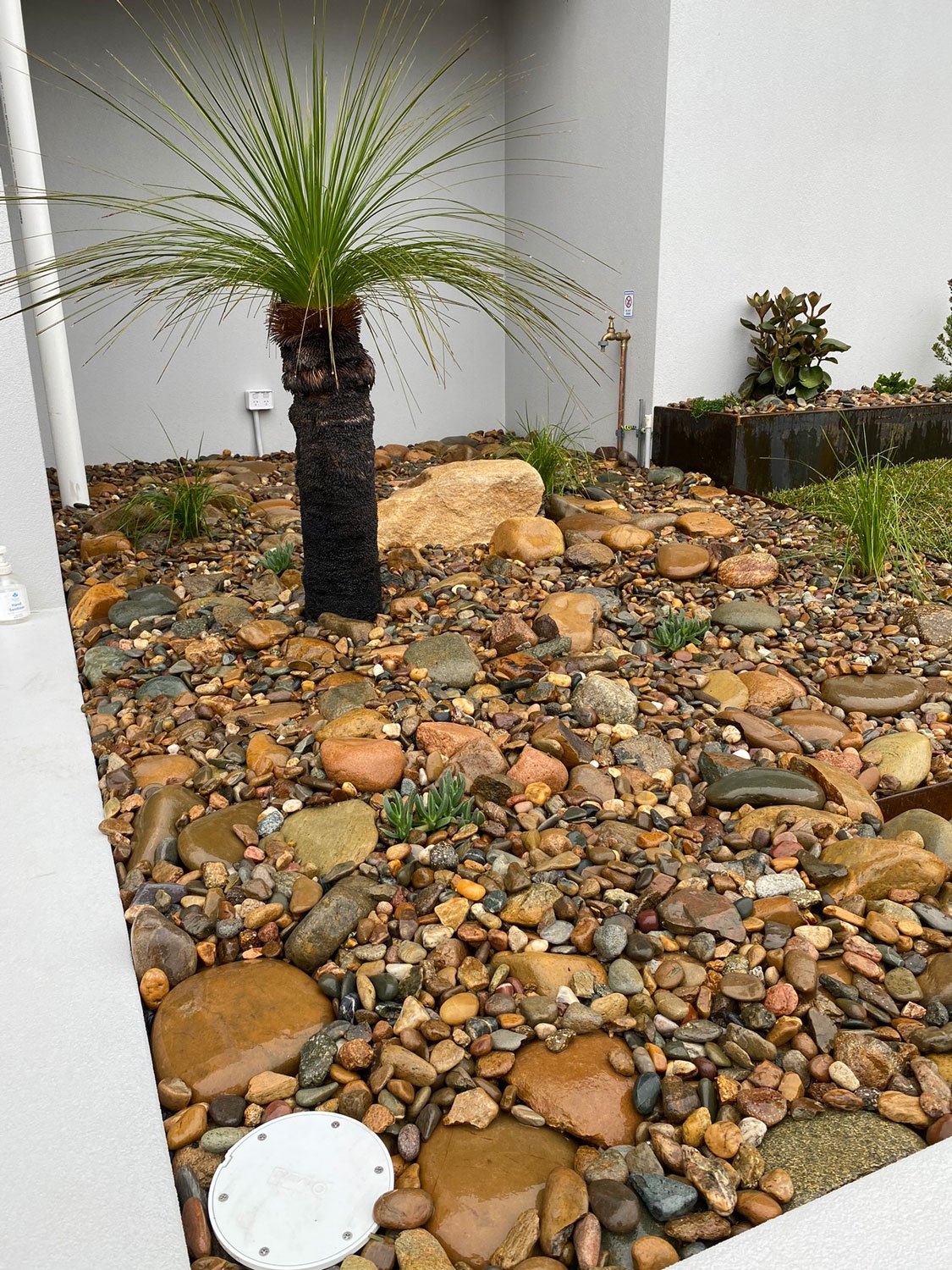 TG-Gardenscapes_Our-Projects_Ashbury-Street_Adamstown-Heights_Rock-Garden-Bed.jpg