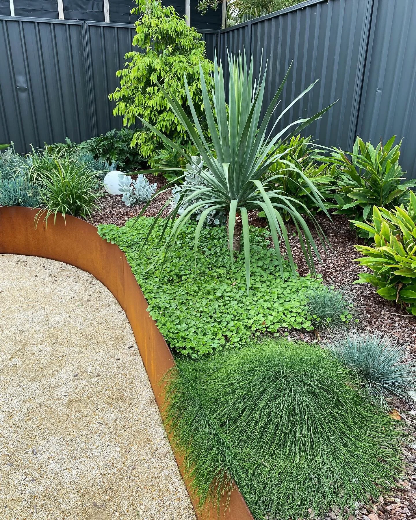 6 months growth at our Jewells project