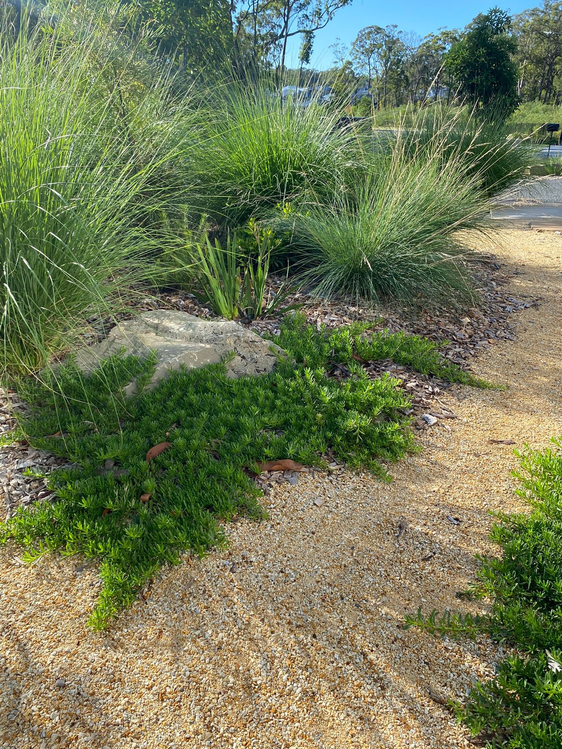 TG-Gardenscapes_Our-Projects_Edgeworth_Gravel-Paths-with-Plants.jpg