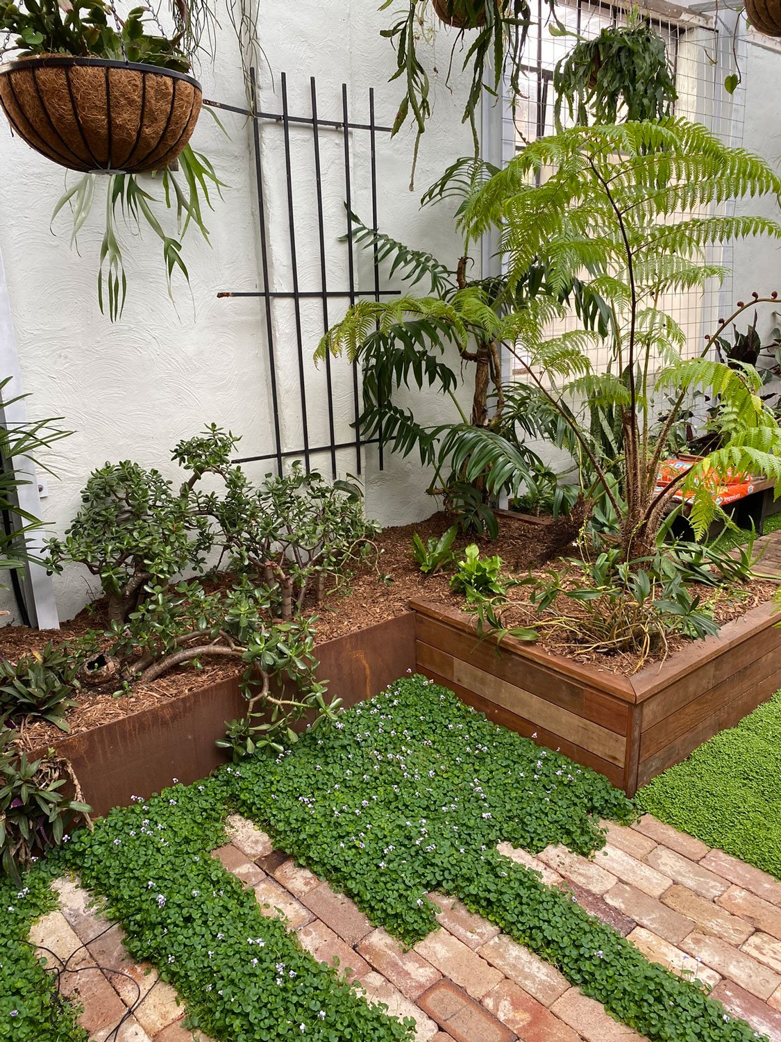 TG-Gardenscapes_Our-Projects_Waratah-Warehouse_Raised-Garden-Beds.jpg