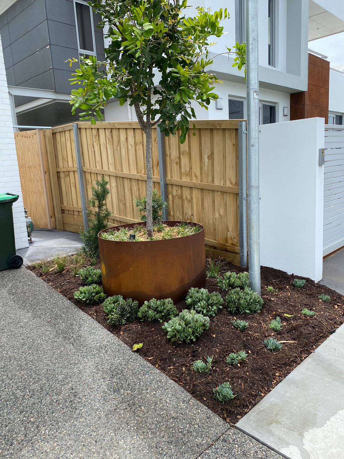 TG-Gardenscapes_Our-Projects_Berner-Street_Merewether_Garden-Bed-with-Potted-Palm-Tree.jpg