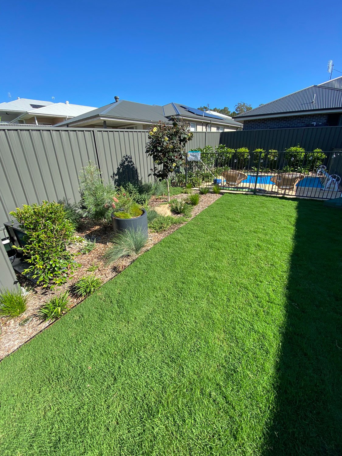 TG-Gardenscapes_Our-Projects_Edgeworth_Edged-Garden-Bed-with-Lawn-near-Pool.jpg