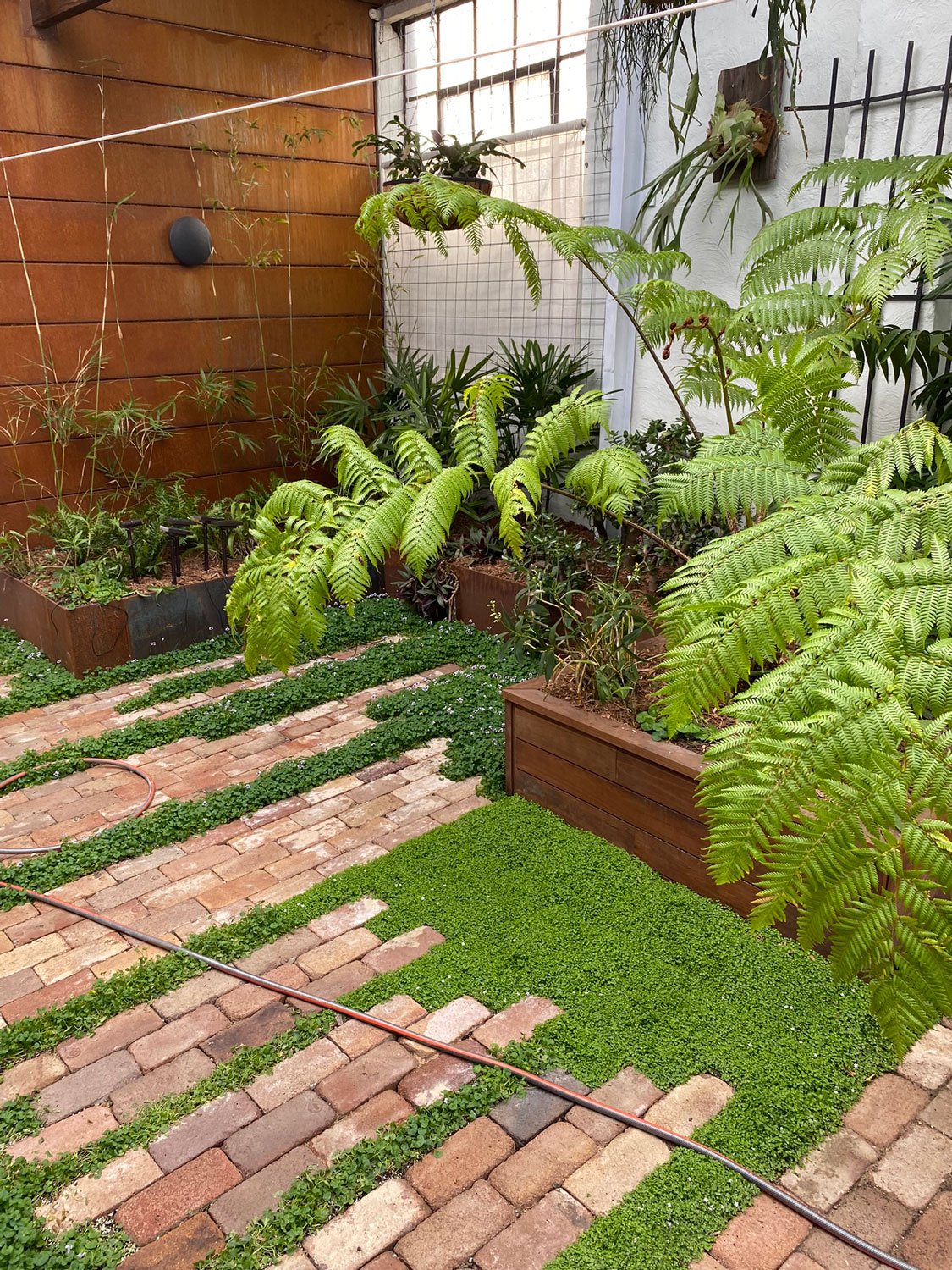TG-Gardenscapes_Our-Projects_Waratah-Warehouse_Indoor-Raised-Garden-Beds.jpg