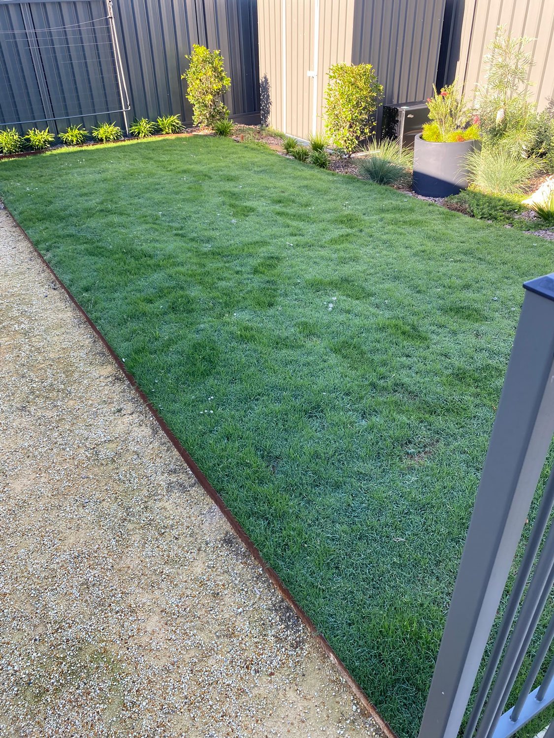 TG-Gardenscapes_Our-Projects_Edgeworth_Edged-Garden-Bed-with-Lawn.jpg