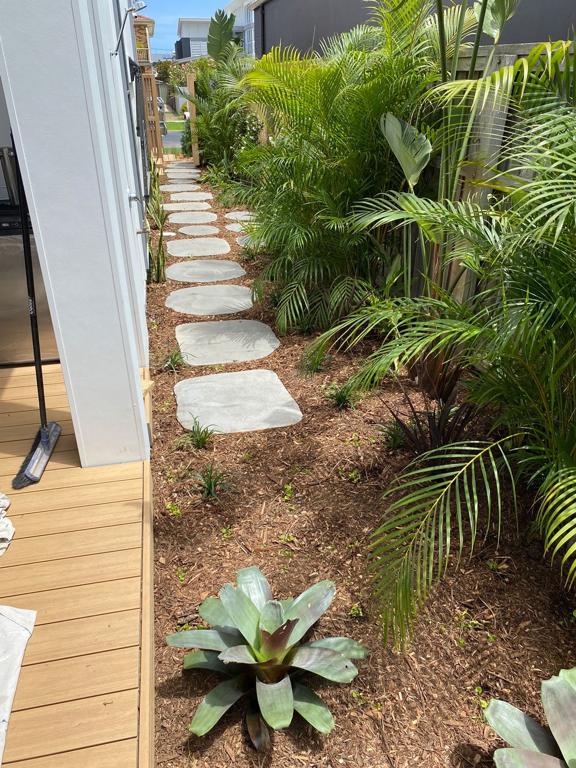 TG-Gardenscapes_Our-Projects_Berner-Street_Merewether_Side-of-House-Large-Stepping-Stones-and-Palm-Trees.jpg