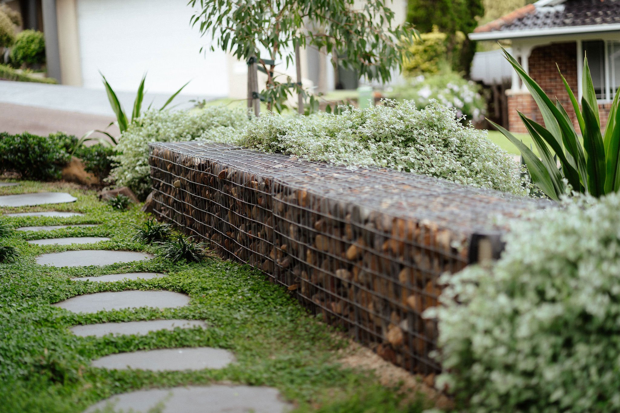 TG-Gardenscapes_Our-Projects_27-Ridgeway-Crescent_Close-Up-Photo-of-Large-Stepping-Stones-Retaining-Wall-with-Rocks.jpg