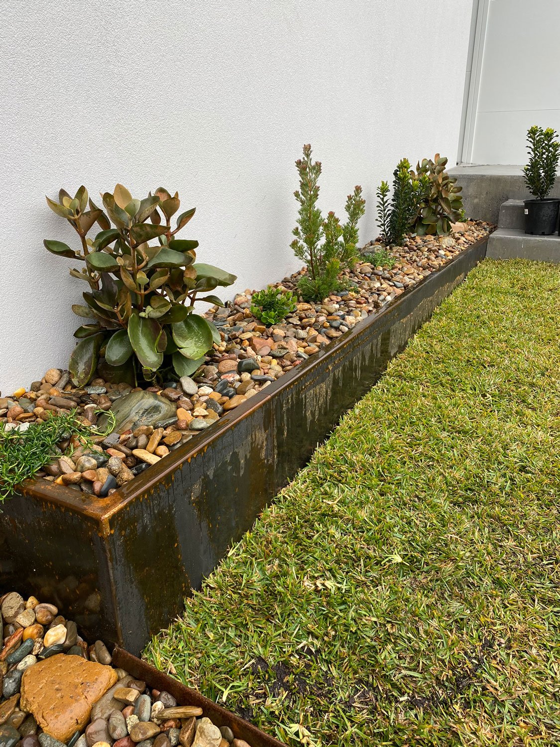 TG-Gardenscapes_Our-Projects_Ashbury-Street_Adamstown-Heights_Retaining-Wall.jpg