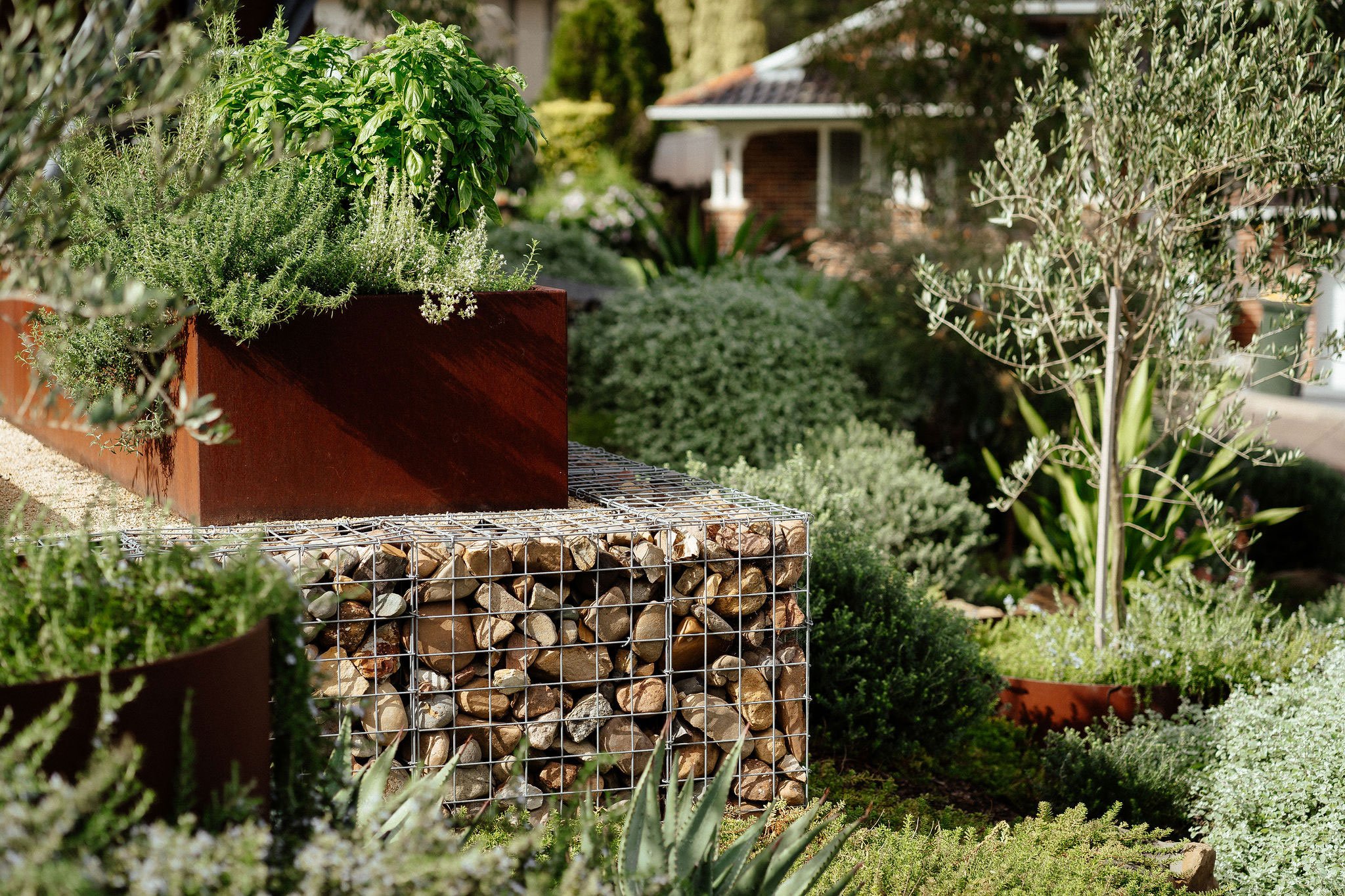 TG-Gardenscapes_Our-Projects_27-Ridgeway-Crescent_Garden-Feature-Wall-with-Plants-and-Rock-Retaining-Wall.jpg