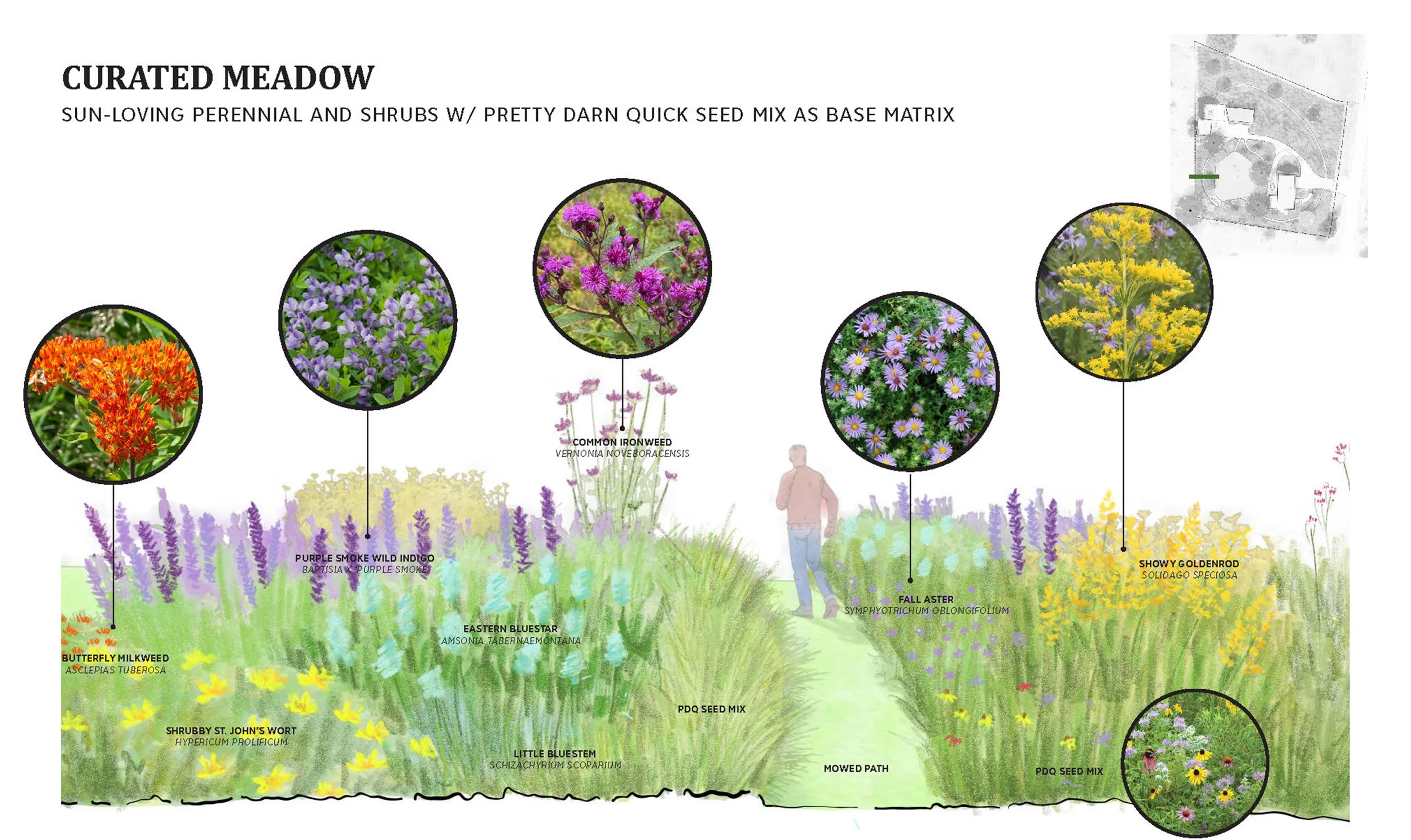 (c)tamibanh_drumlin garden_5.jpg