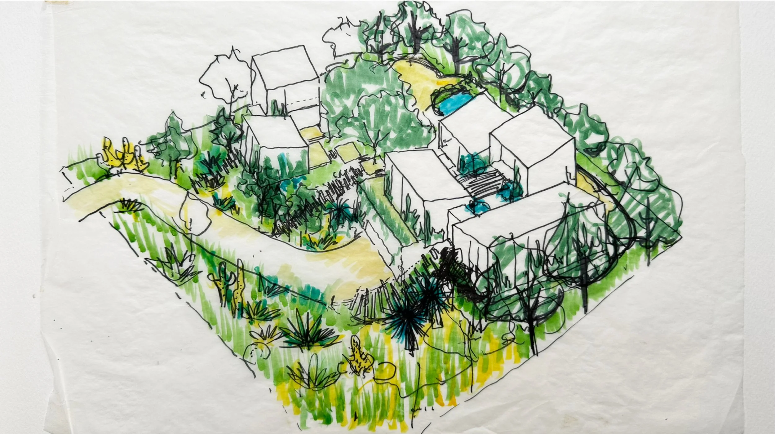 (c)tamibanh_turnbull_sketch2.jpg