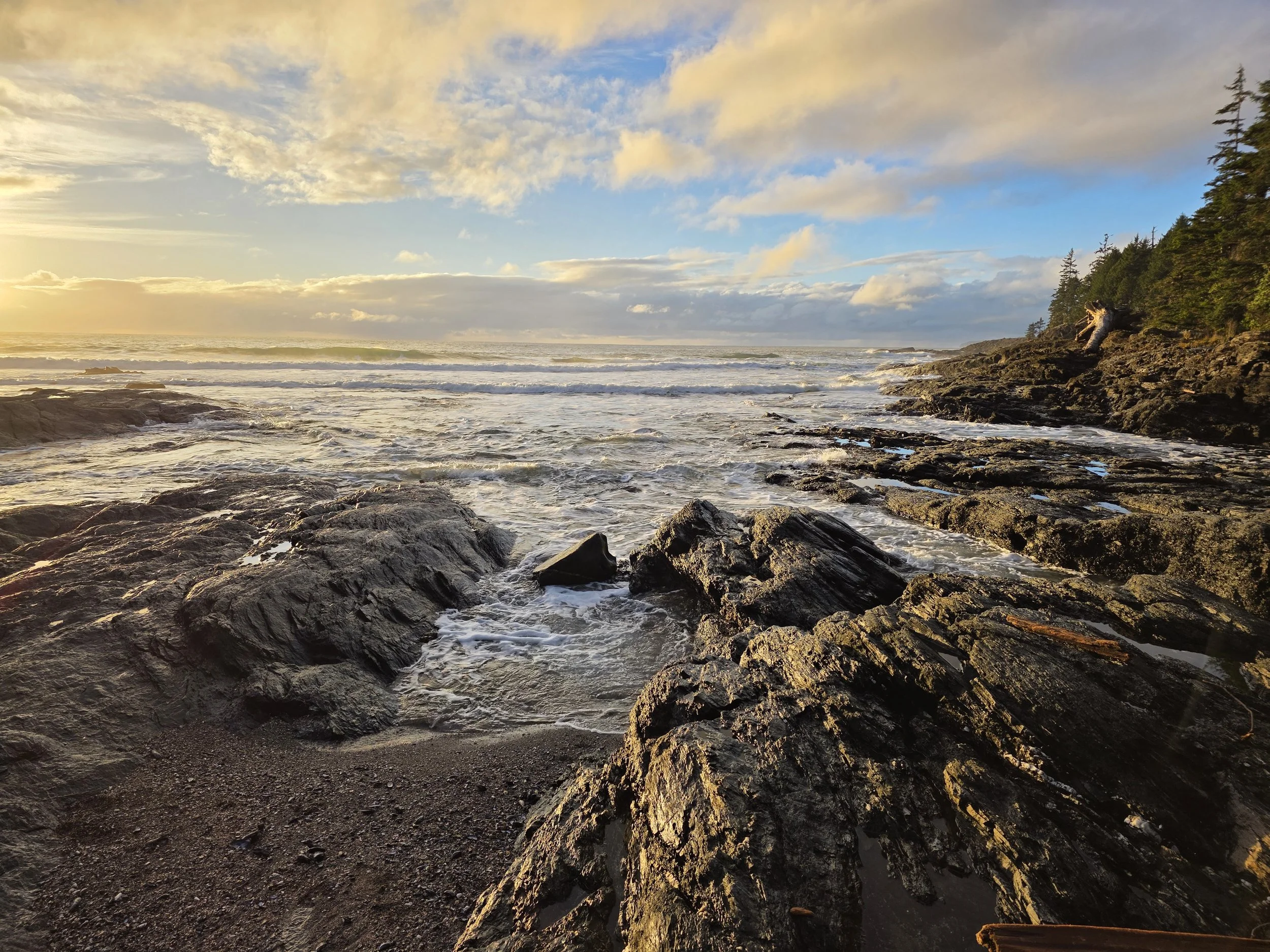 Botanical Beach in Port Renfrew BC