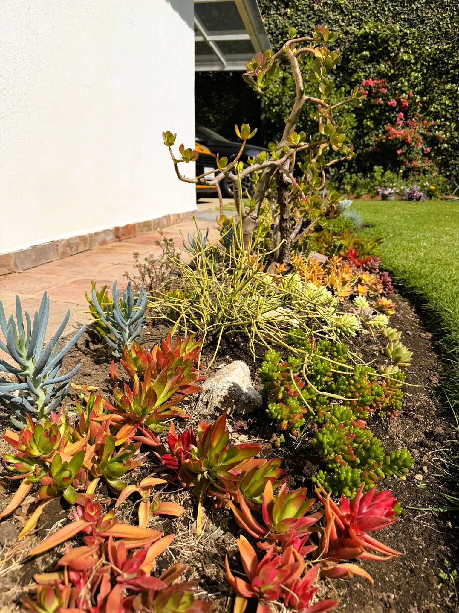 IMG_8248 no plug.JPEG