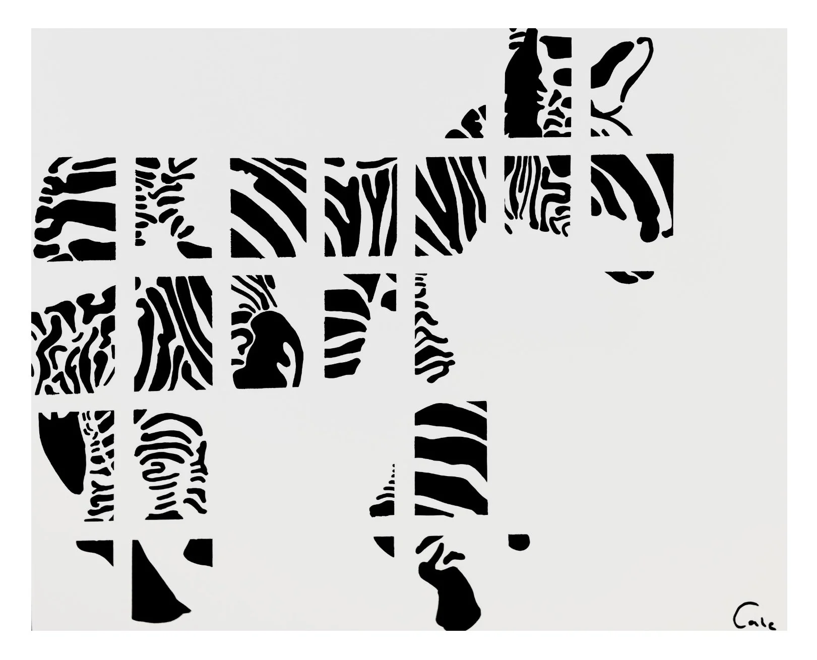 Zebra