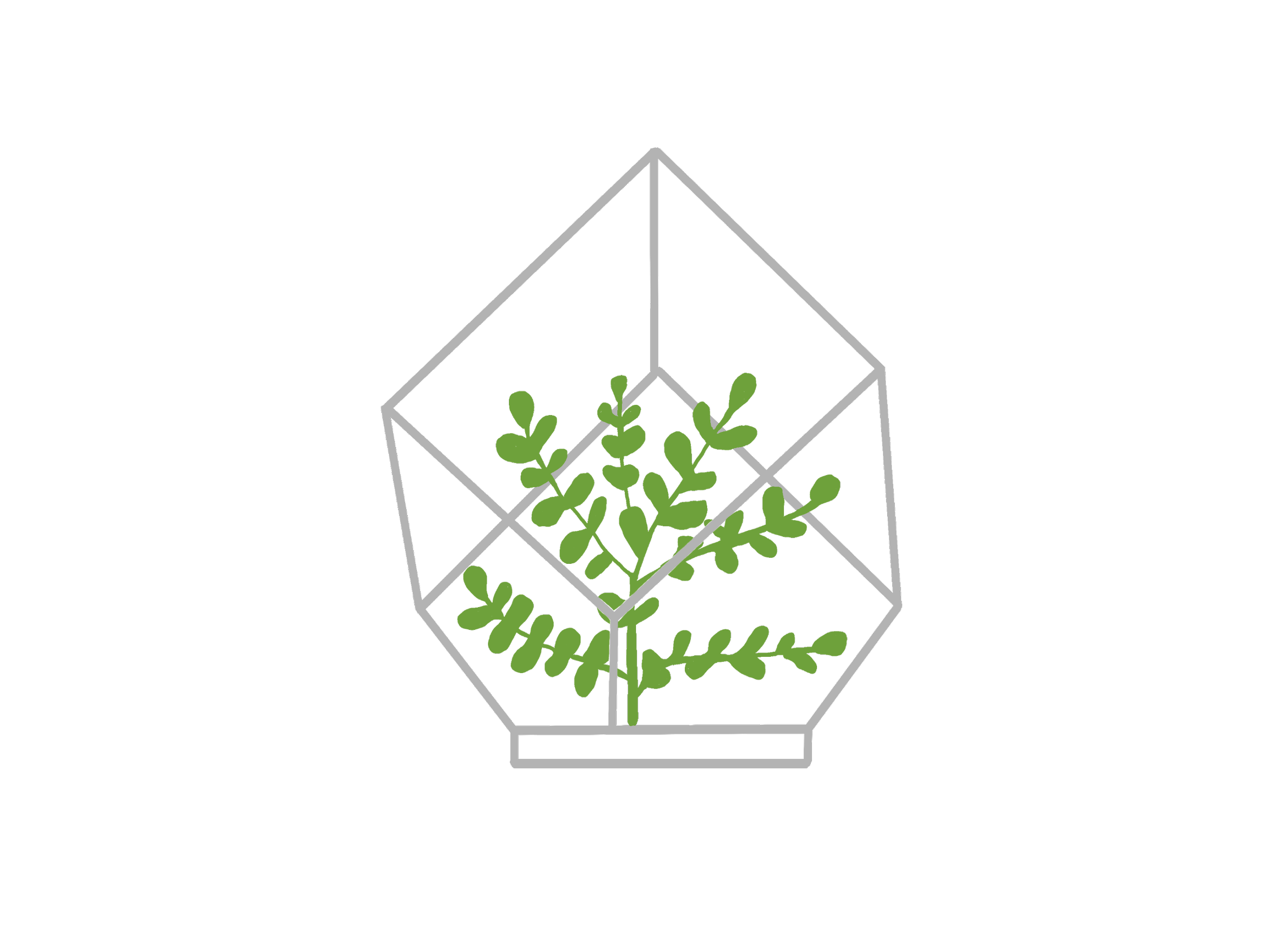 Illustration of a geometric glass terrarium with green plants inside, set against a black background.