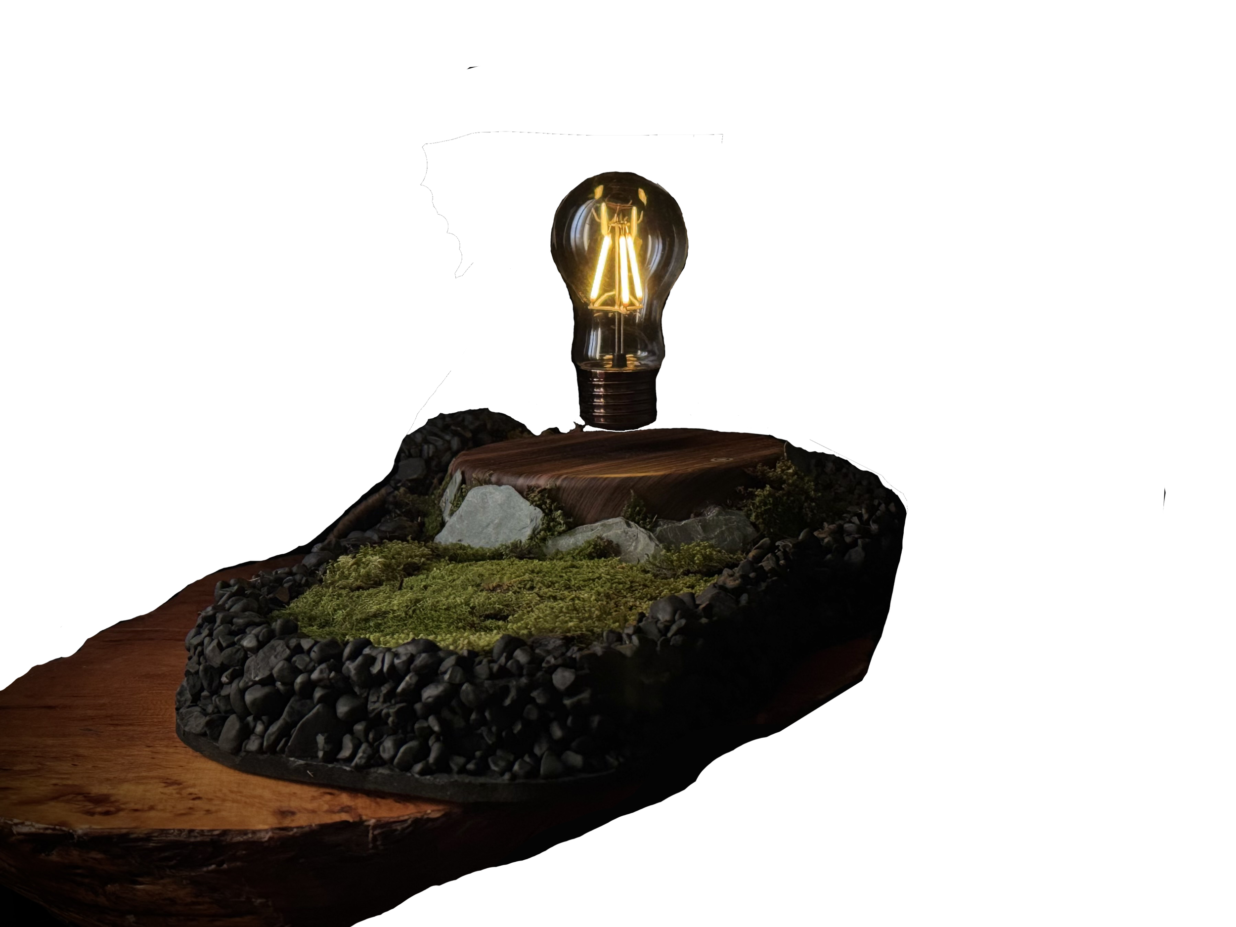 A decorative tabletop lamp featuring a light bulb attached to a wooden platform with moss, rocks, and black pebbles on a wooden base.