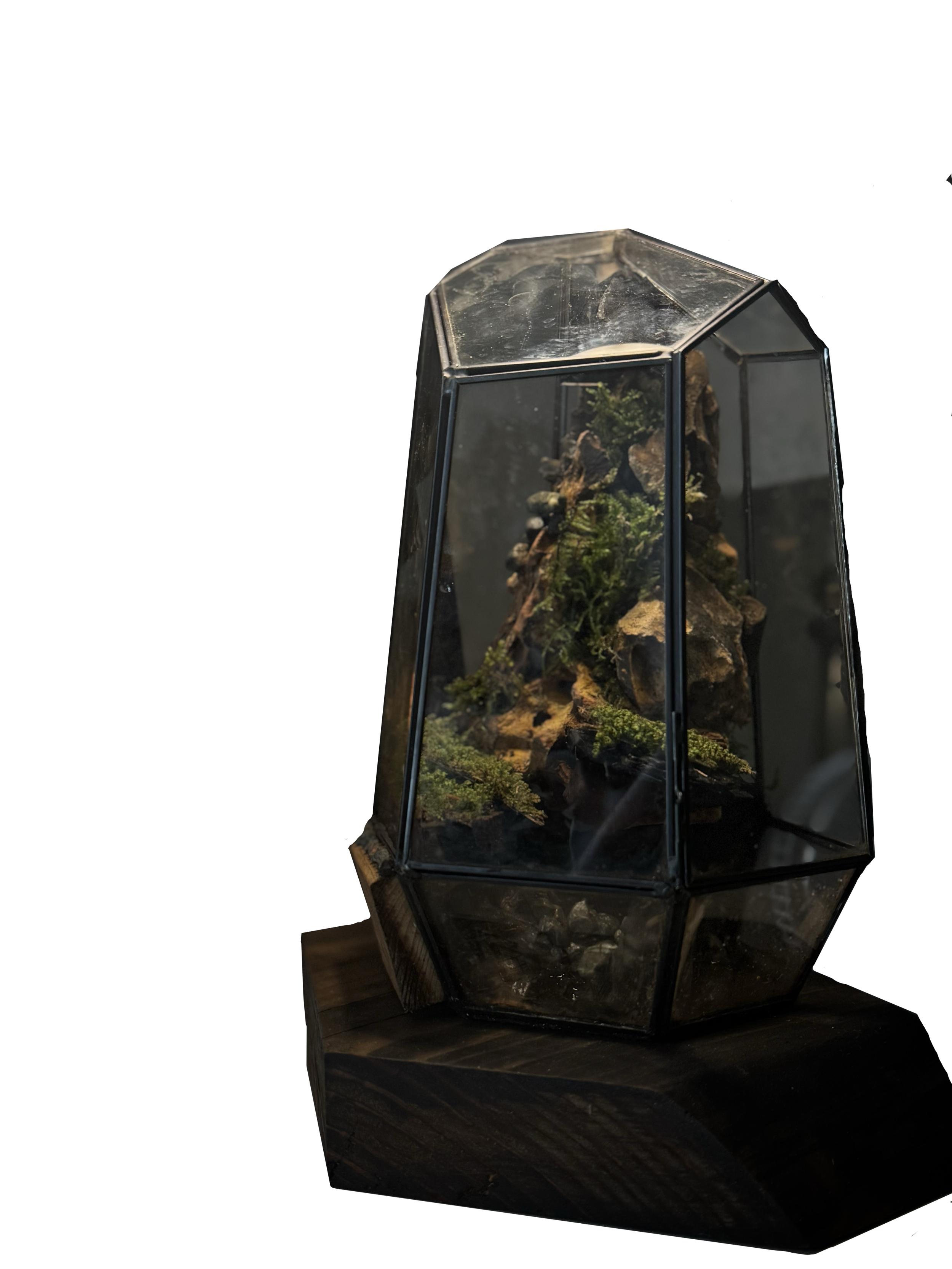 A glass terrarium with a geometric shape, containing rocks and green moss, sitting on a wooden base.