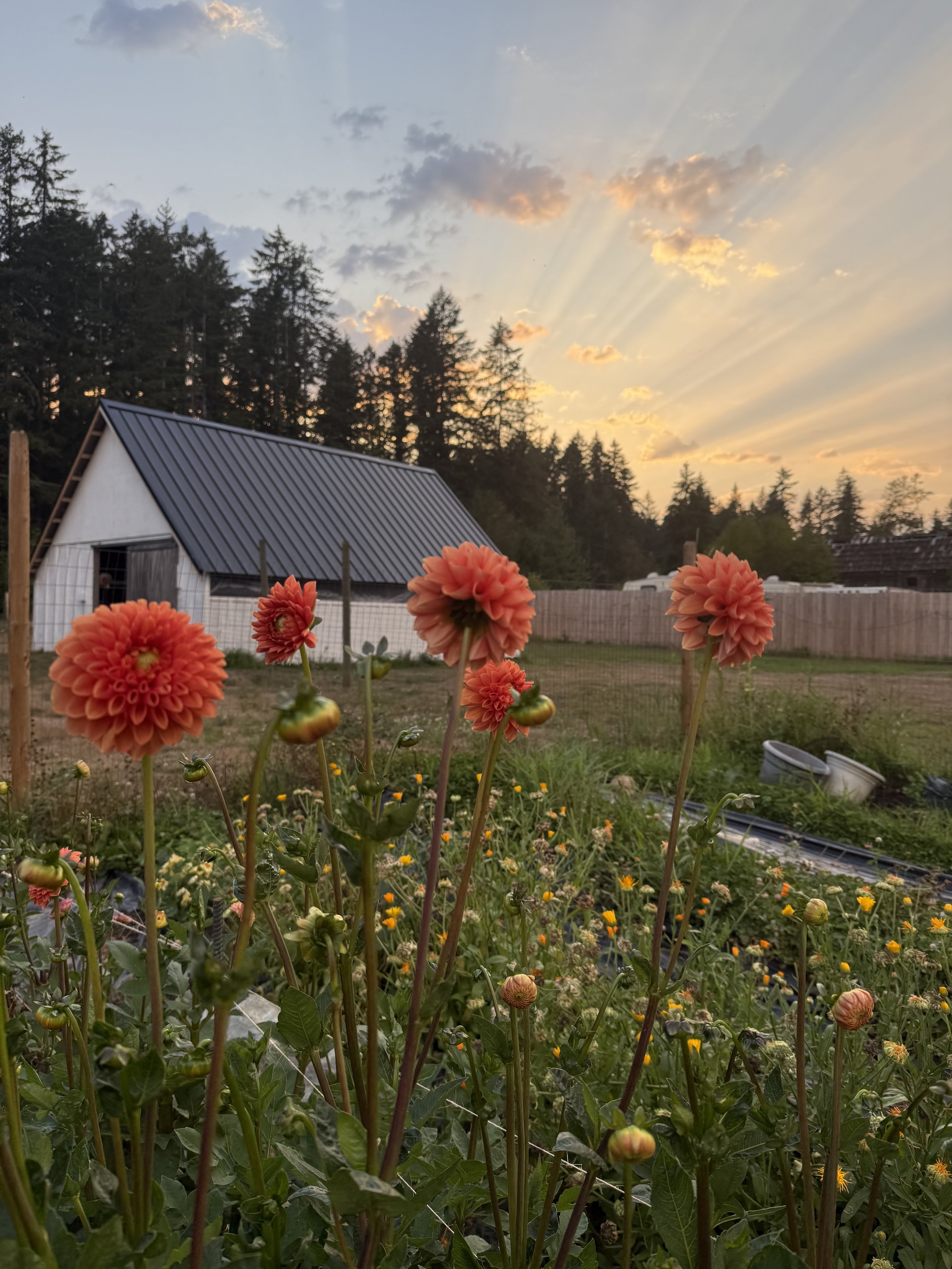 2026 events coming soon