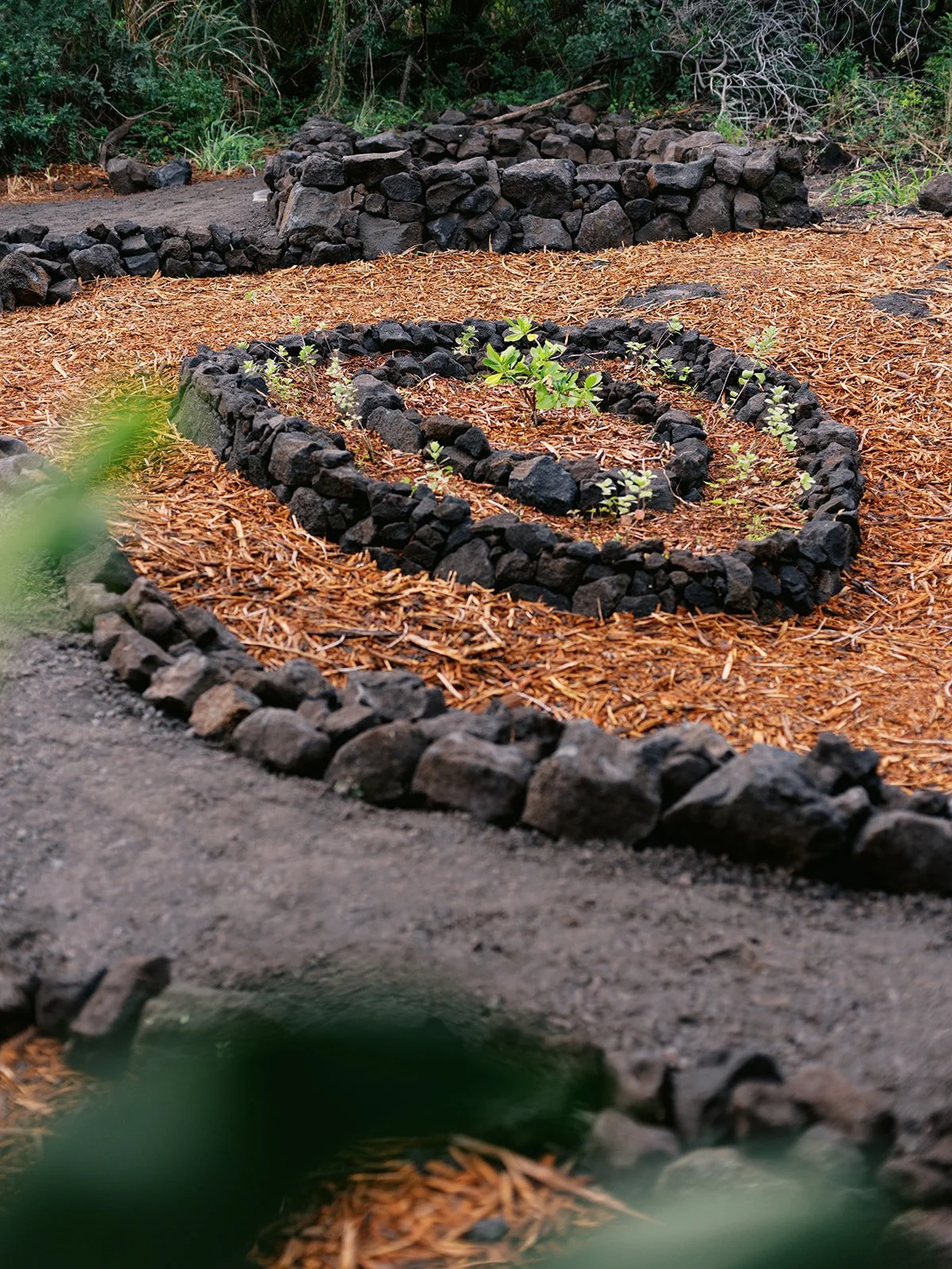 Hawai’i-Land-and-Garden-Works-280.jpg