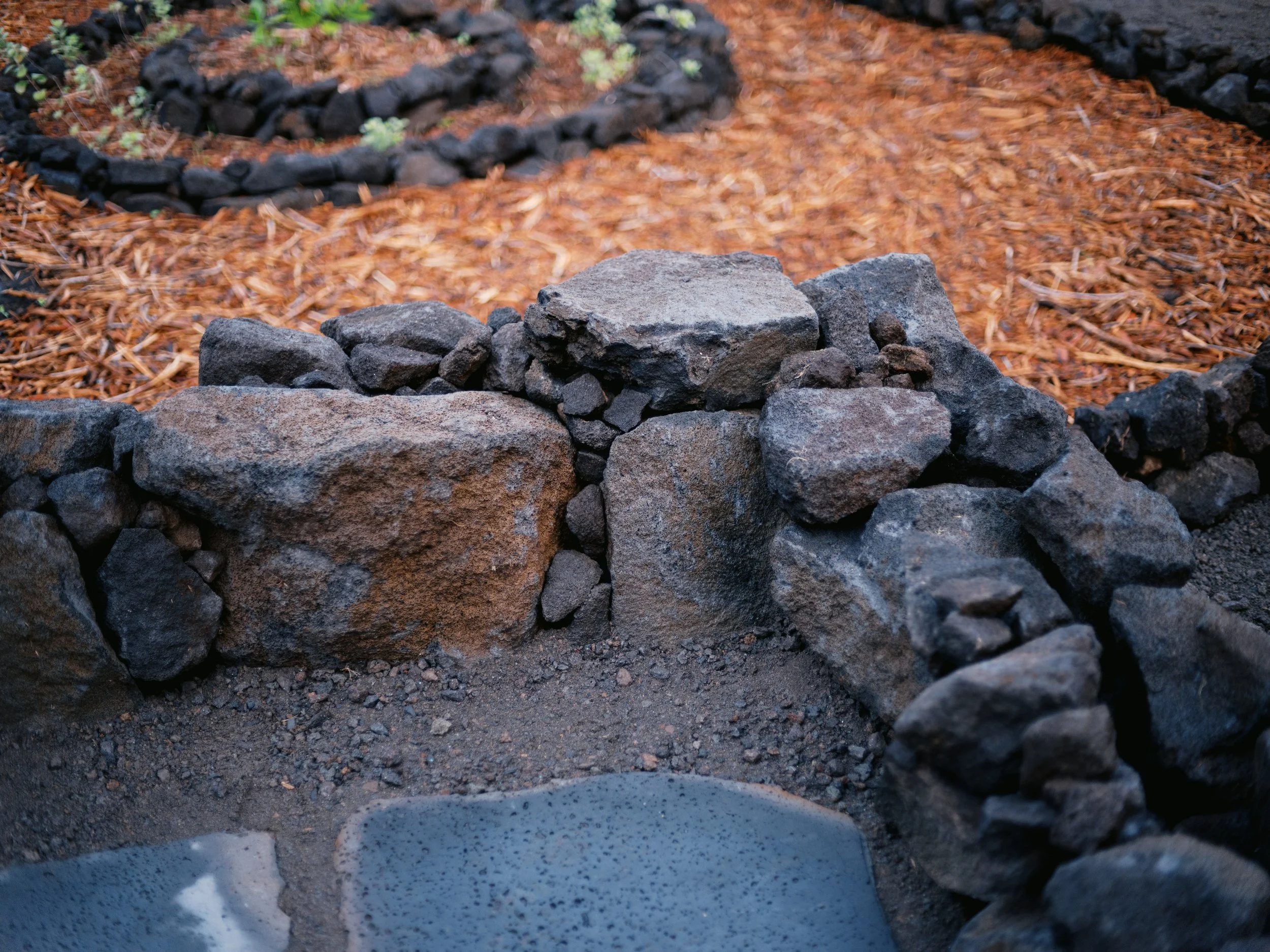Hawai’i-Land-and-Garden-Works-253.jpg