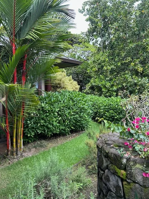 Ongoing Maintenance & Land Management Consultation