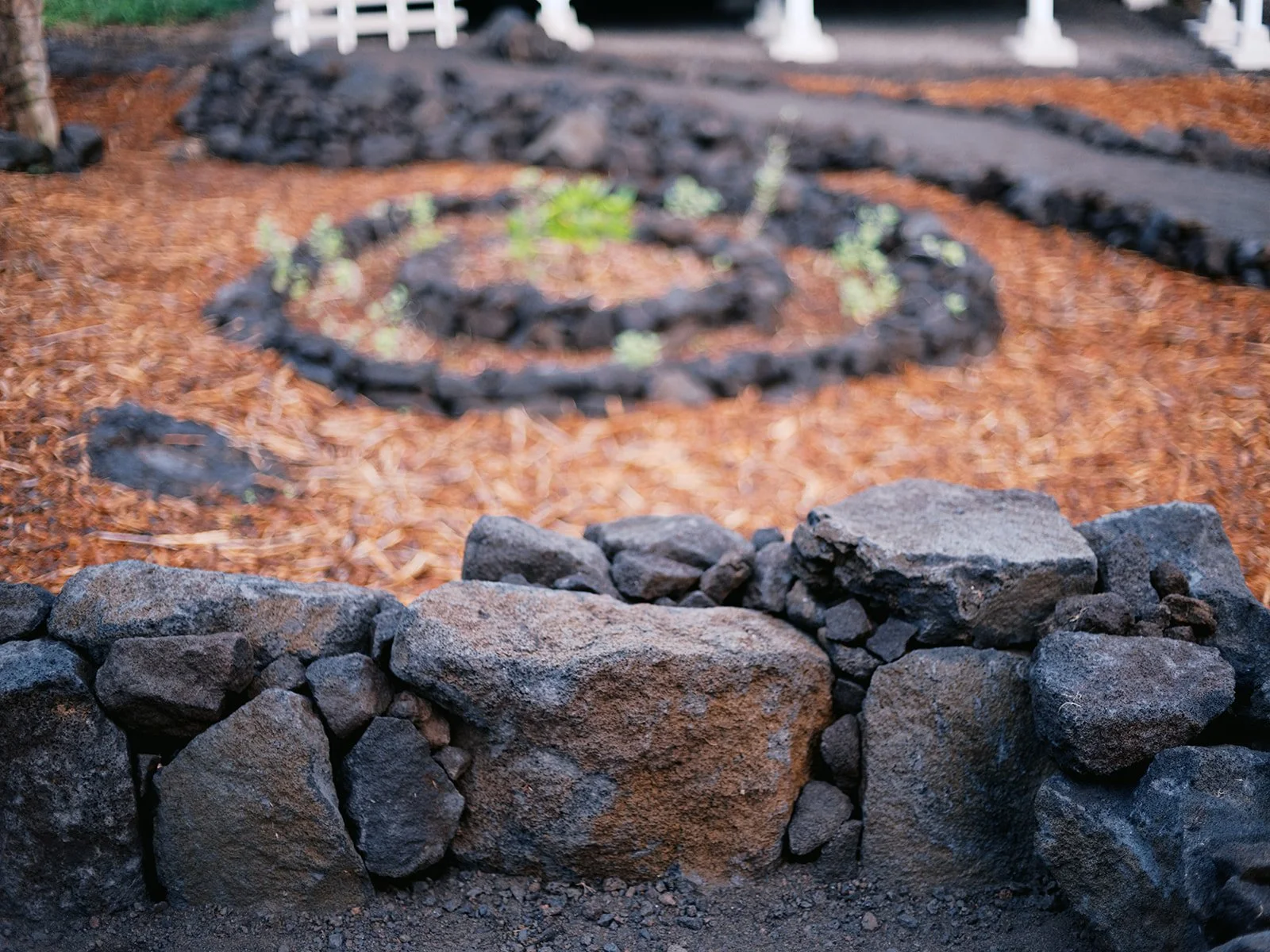 Pōhaku Sculpture Garden
