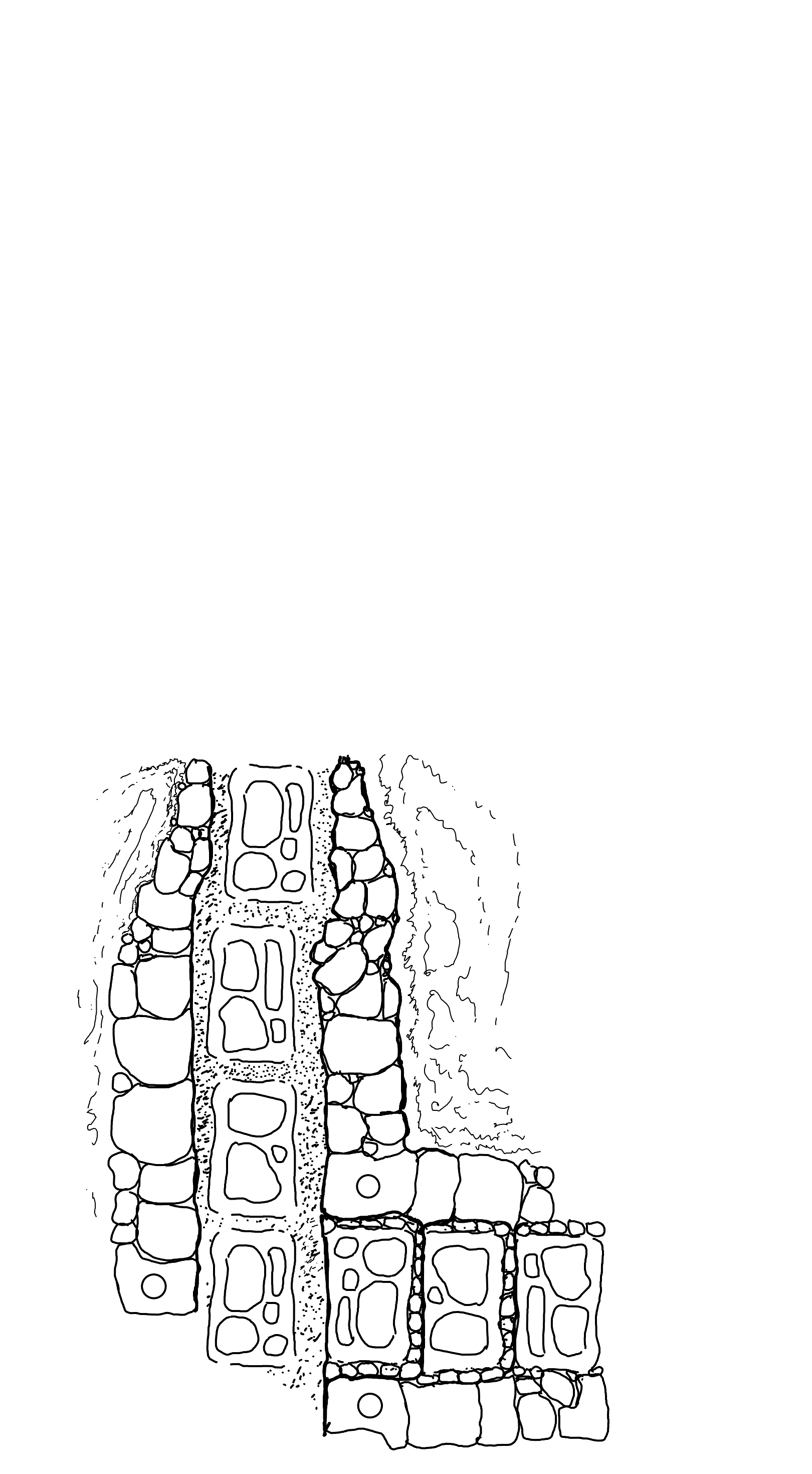 Notebook 96 - page 1.png