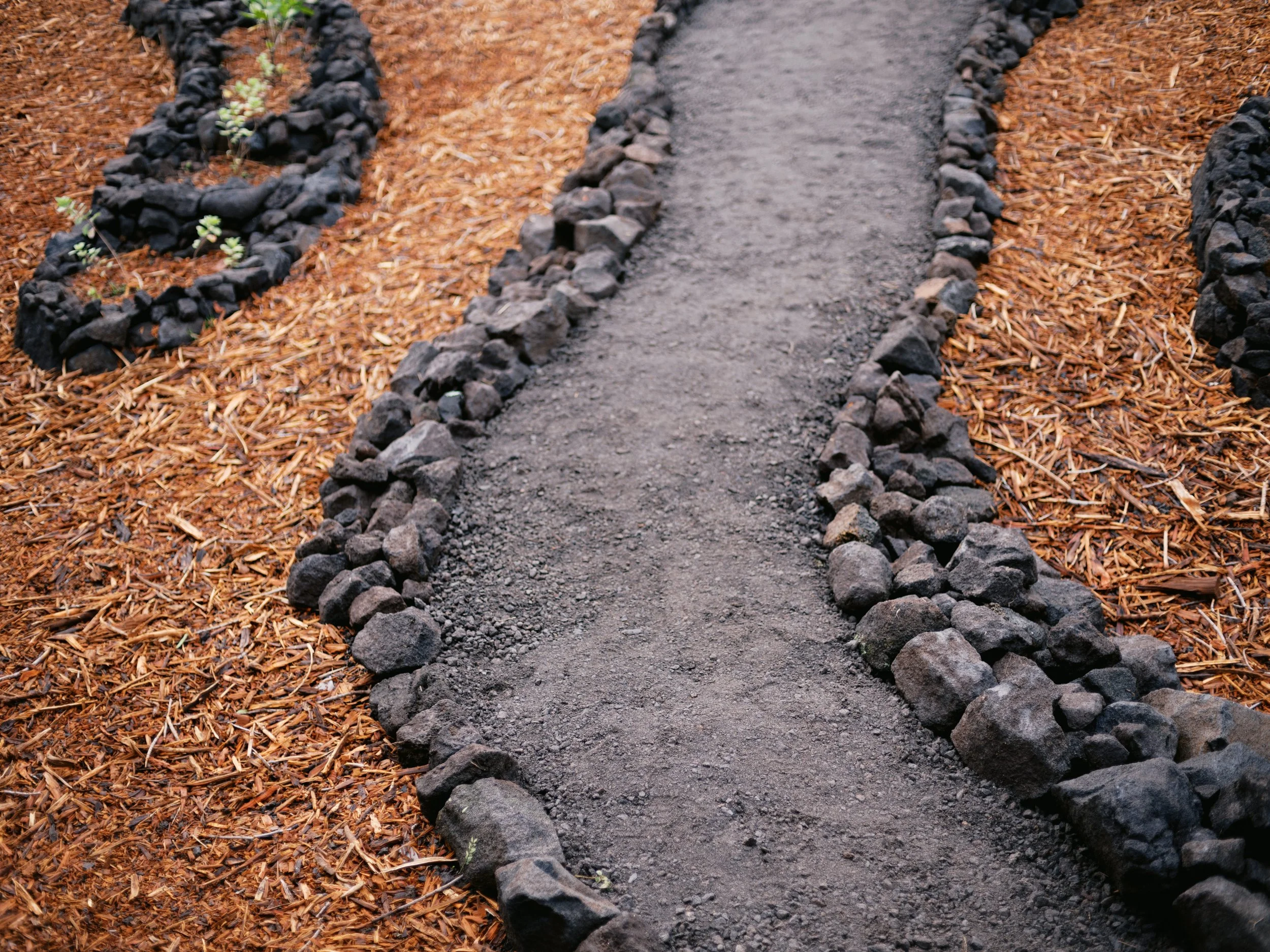Hawai’i-Land-and-Garden-Works-278.jpg