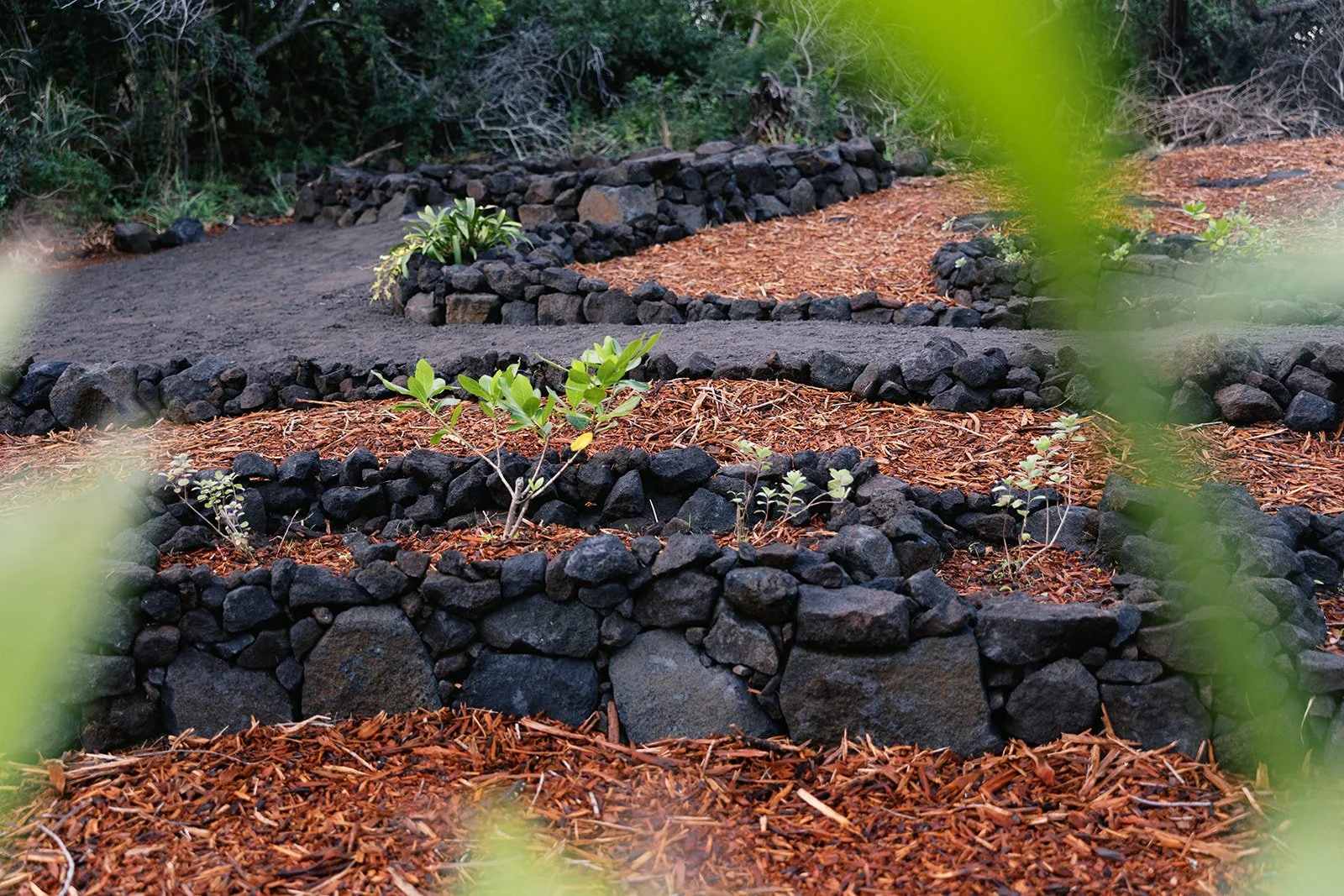 Hawai’i-Land-and-Garden-Works-240.jpg