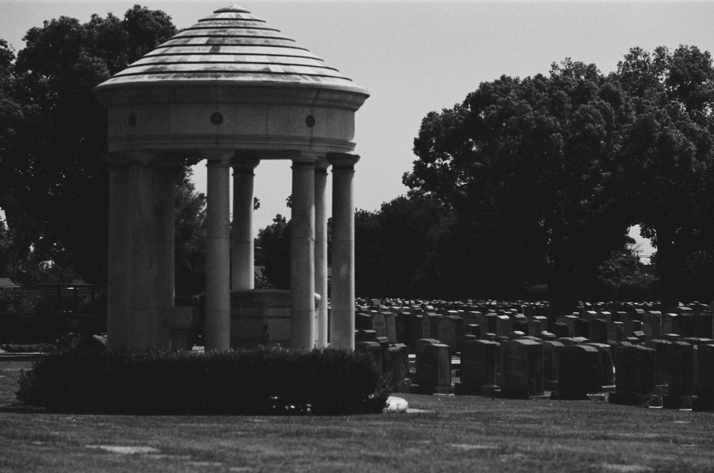 000018840028.resized.jpg