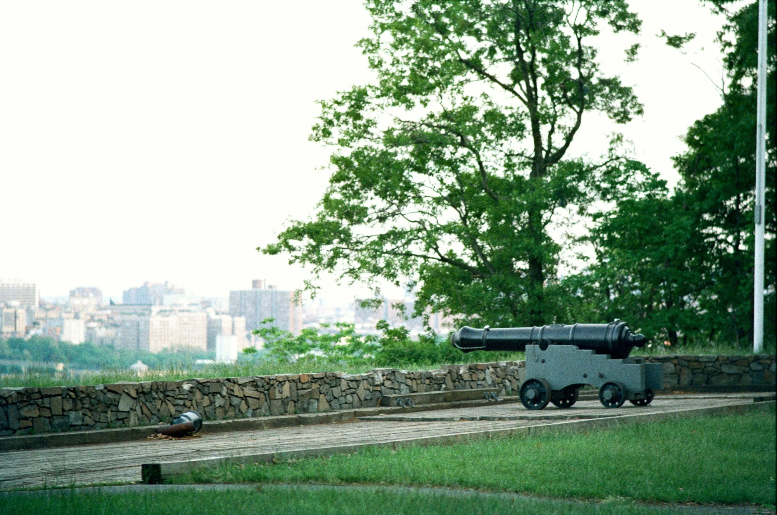 000000100037a.resized.jpg