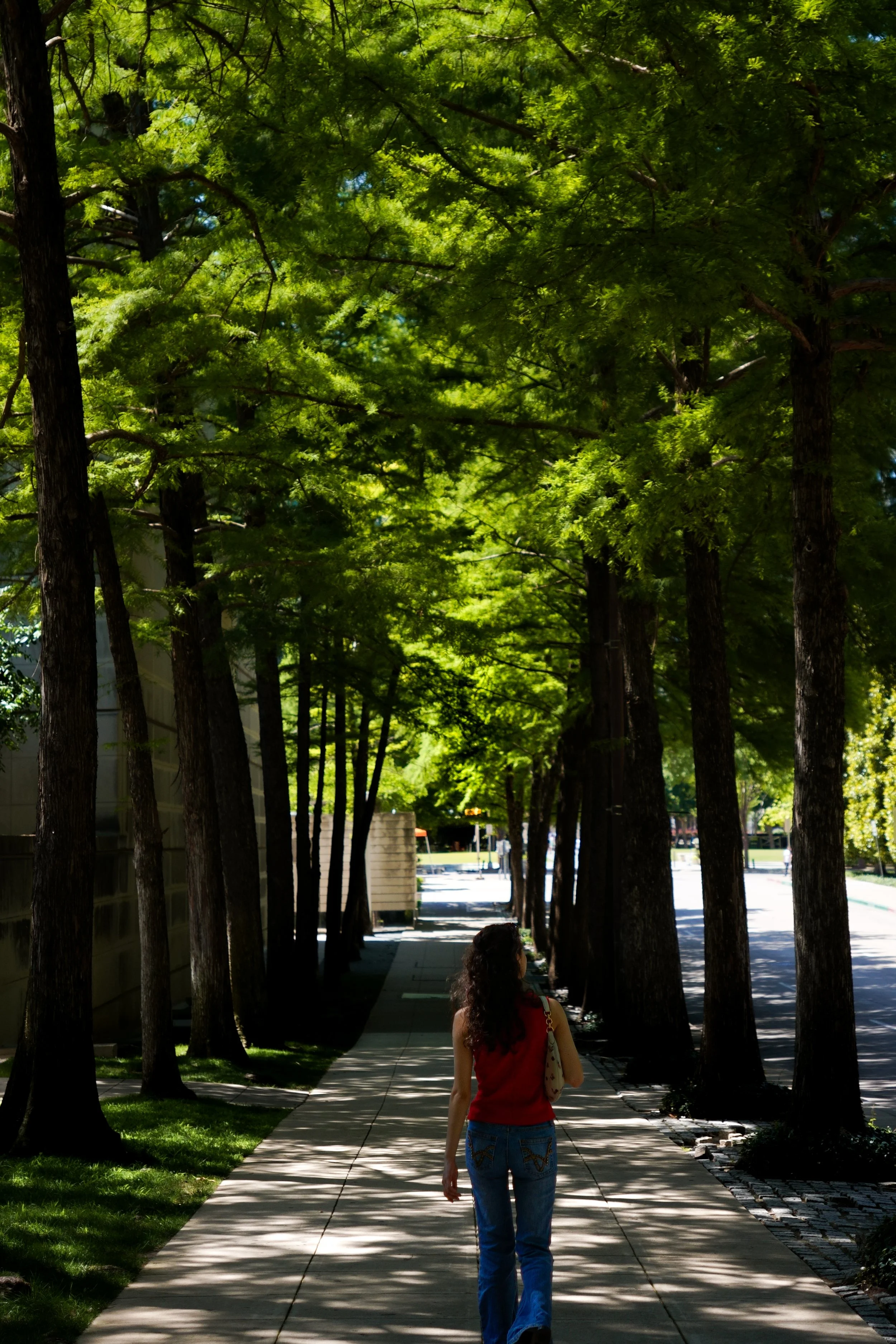 ClydeWarren1.5 3.JPG