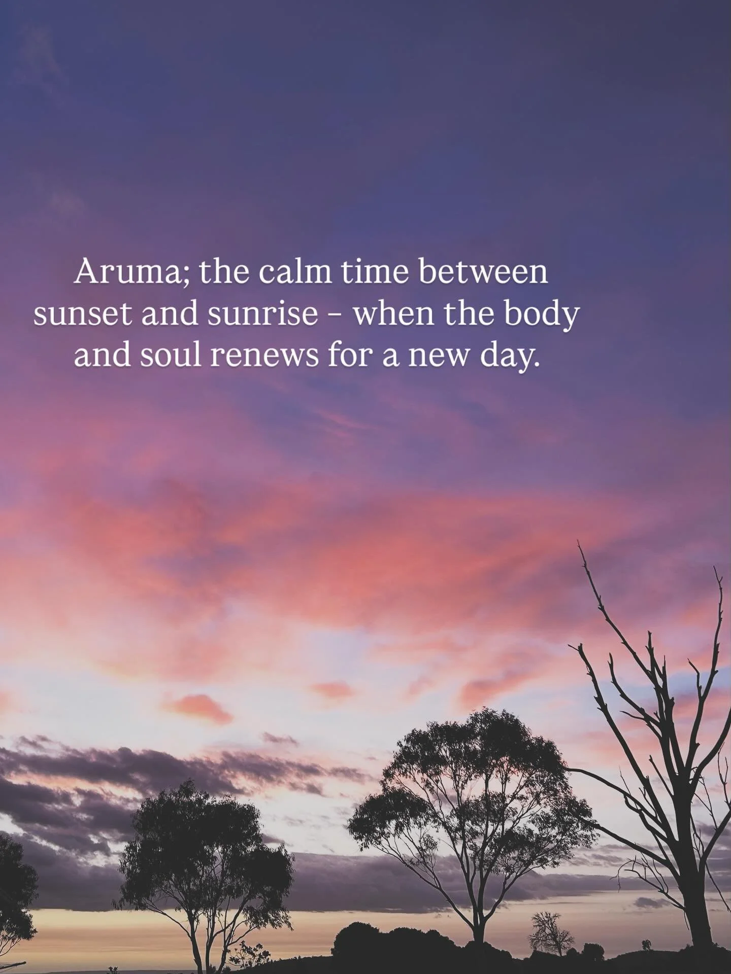 As we rest, our bodies work their quiet magic by restoring, repairing and renewing from the day gone by. Every night is a gentle act of healing, preparing us to rise with new energy. 

#naturopath #healing #wellness #kindness #naturalmedicine #restor