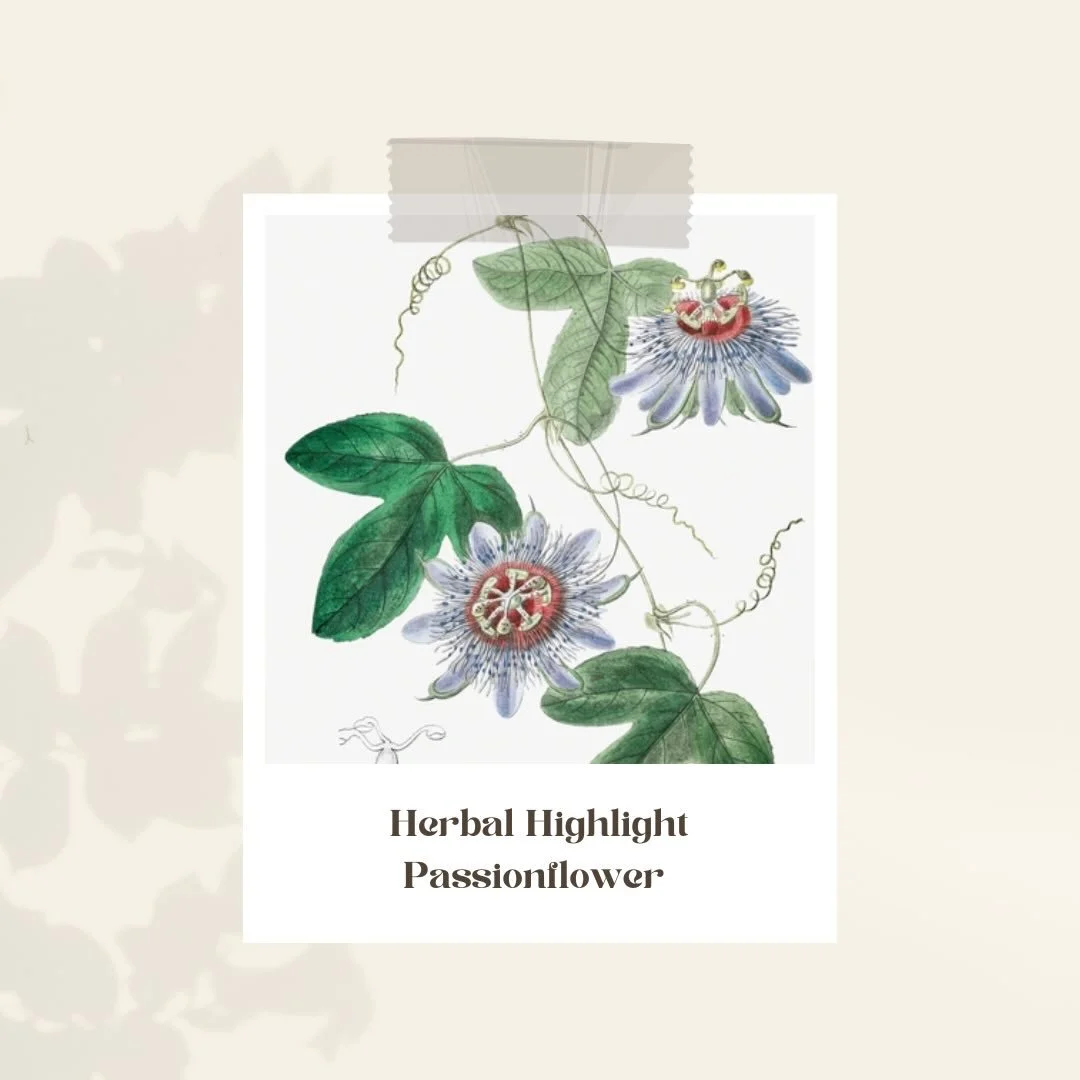 🌿 Herbal Highlight: Passiflora incarnata&nbsp;🌿

Also known as Passionflower, this gentle nervine is a go-to ally for calming the mind and supporting restful sleep. Traditionally used to ease anxiety, restlessness, and circular thinking, Passiflora